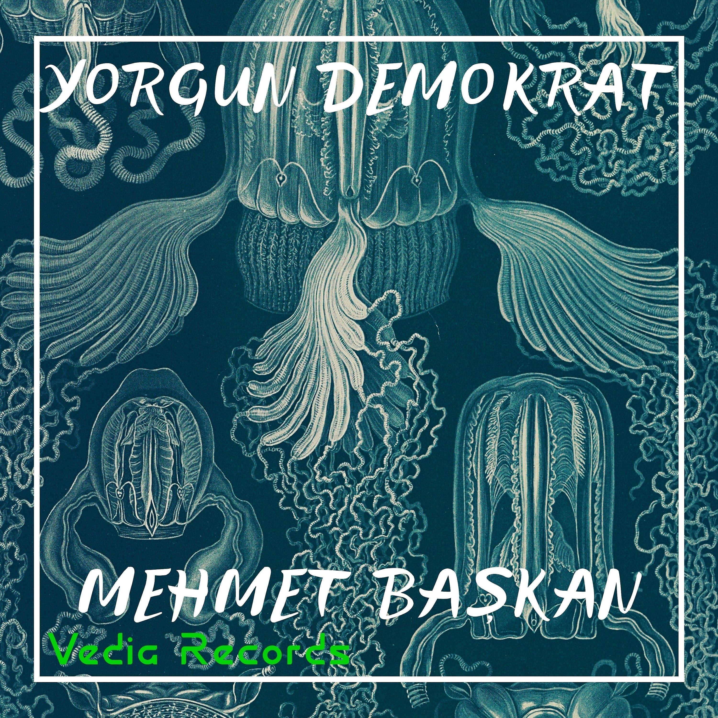 Постер альбома Yorgun Demokrat