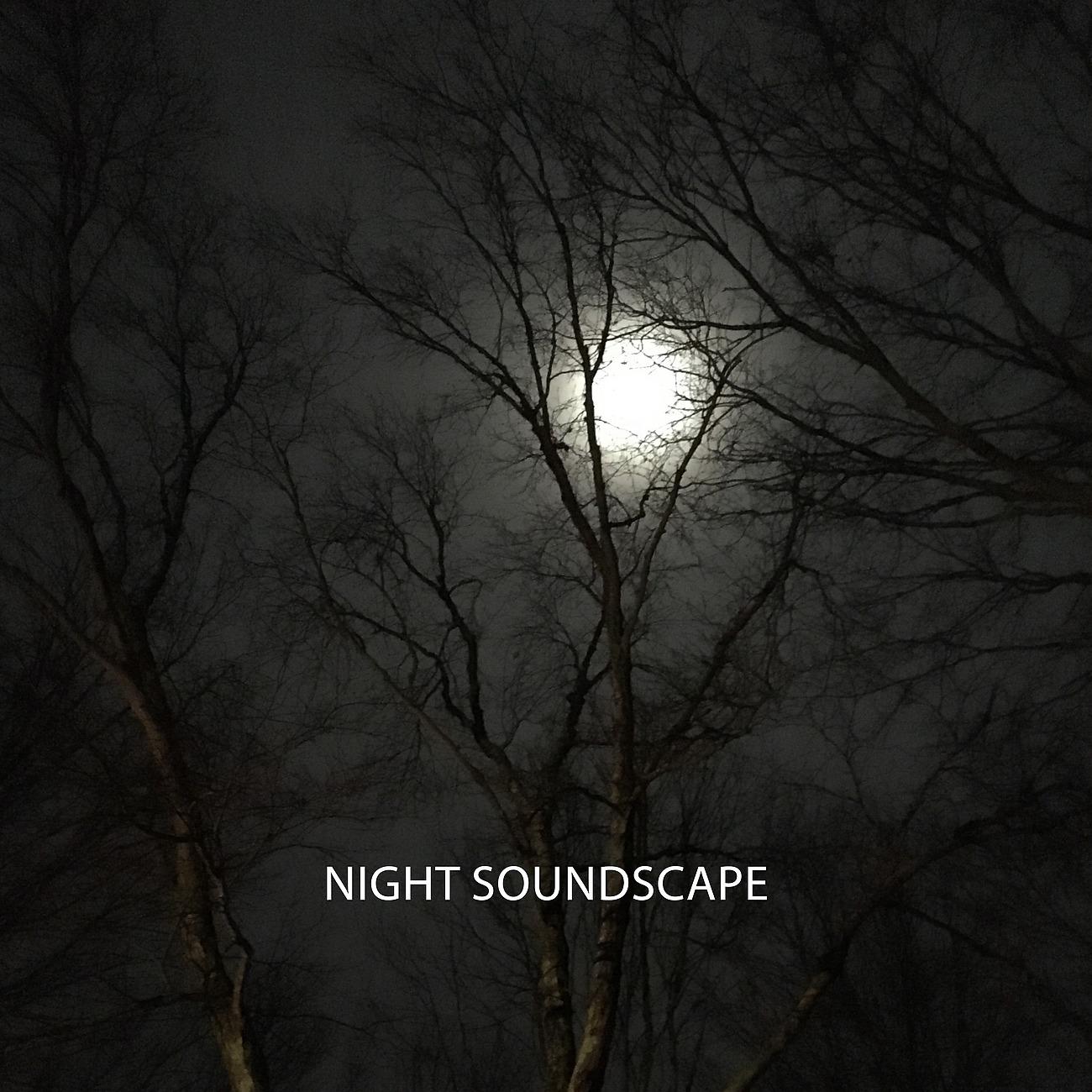 Постер альбома Night Soundscape