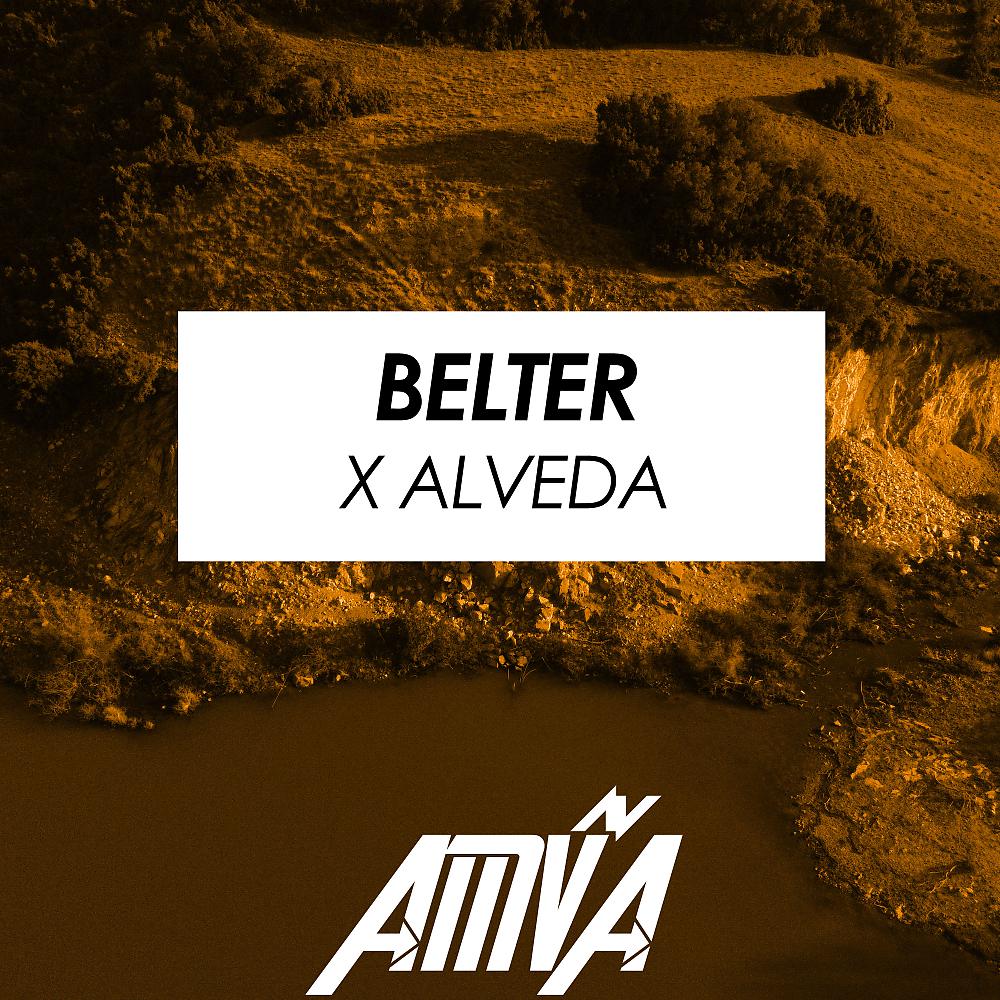 Постер альбома Belter x Alveda