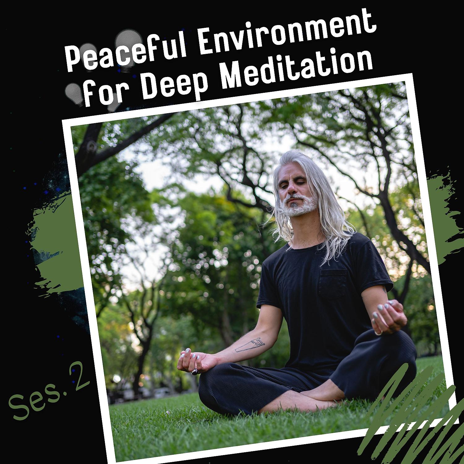 Постер альбома Peaceful Environment for Deep Meditation Ses. 2