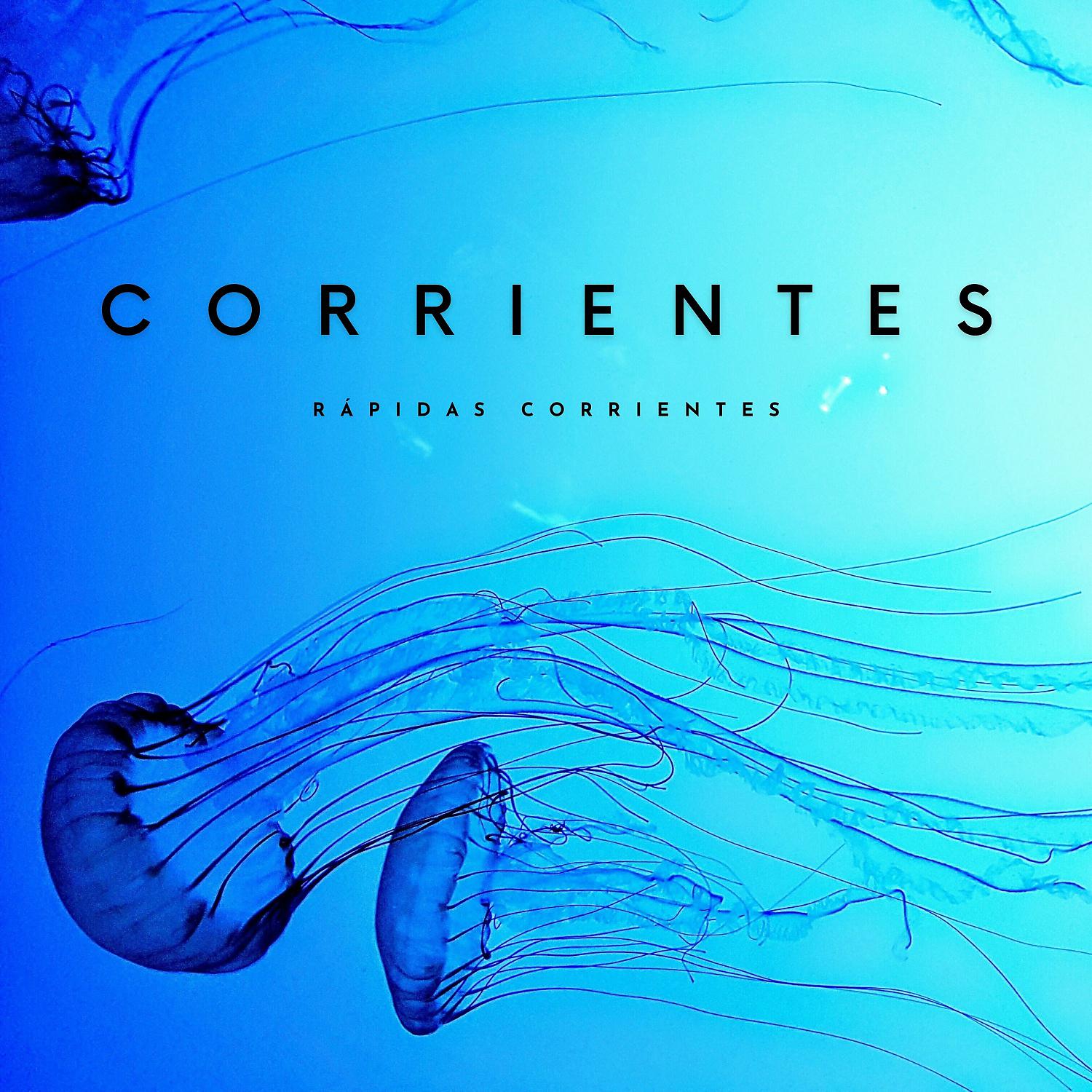 Постер альбома Corrientes: Rápidas Corrientes