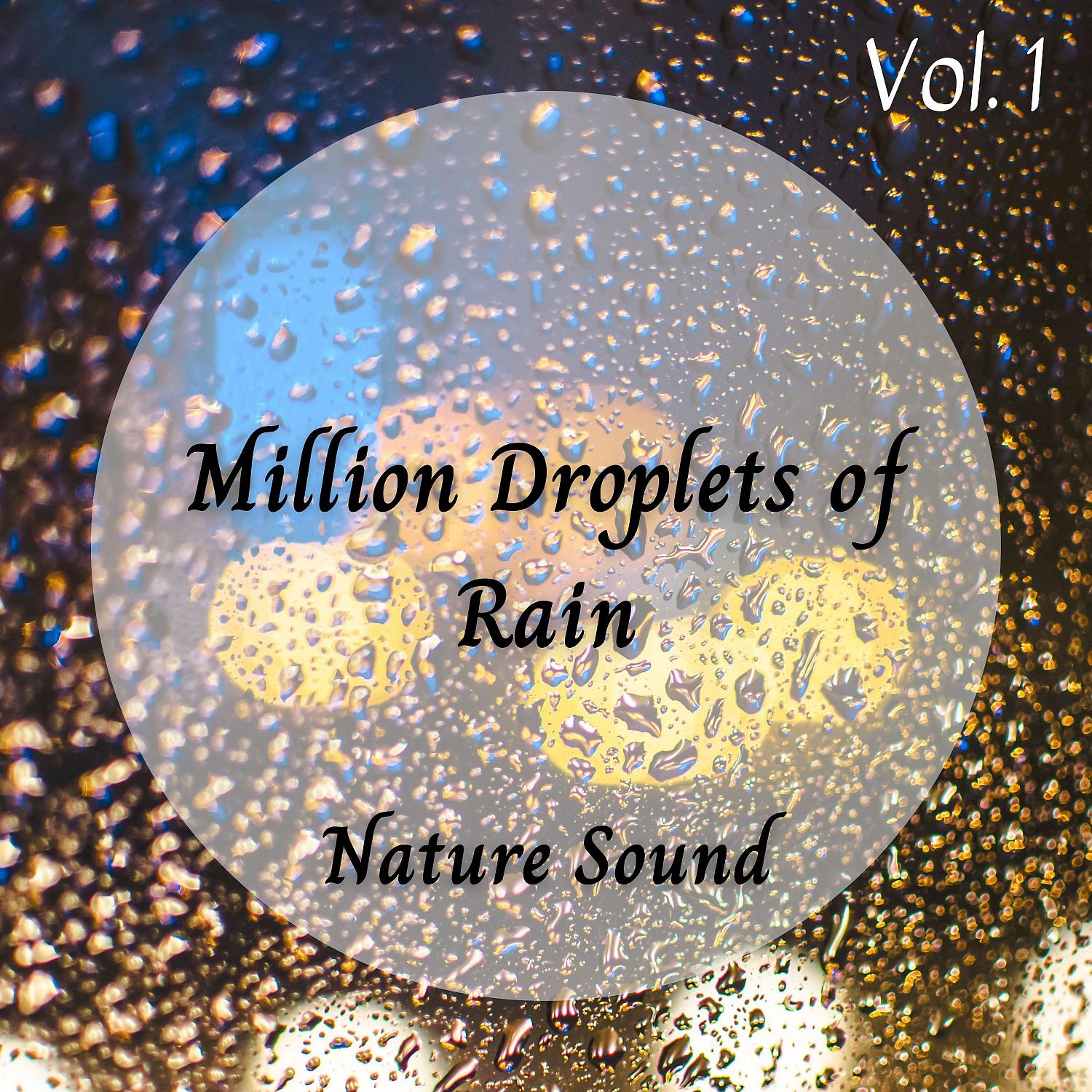 Постер альбома Nature Sound: Million Droplets of Rain Vol. 1