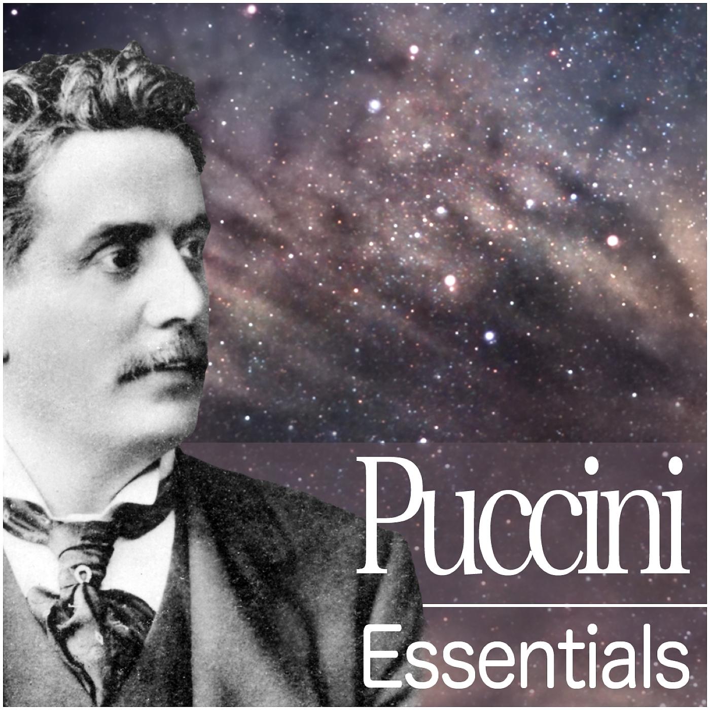 Постер альбома Puccini Essentials