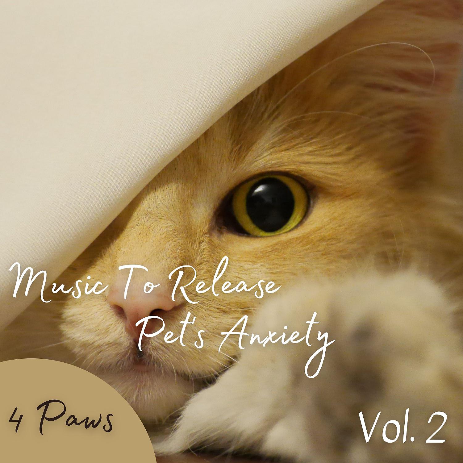 Постер альбома 4 Paws: Music To Release Pet's Anxiety Vol. 2