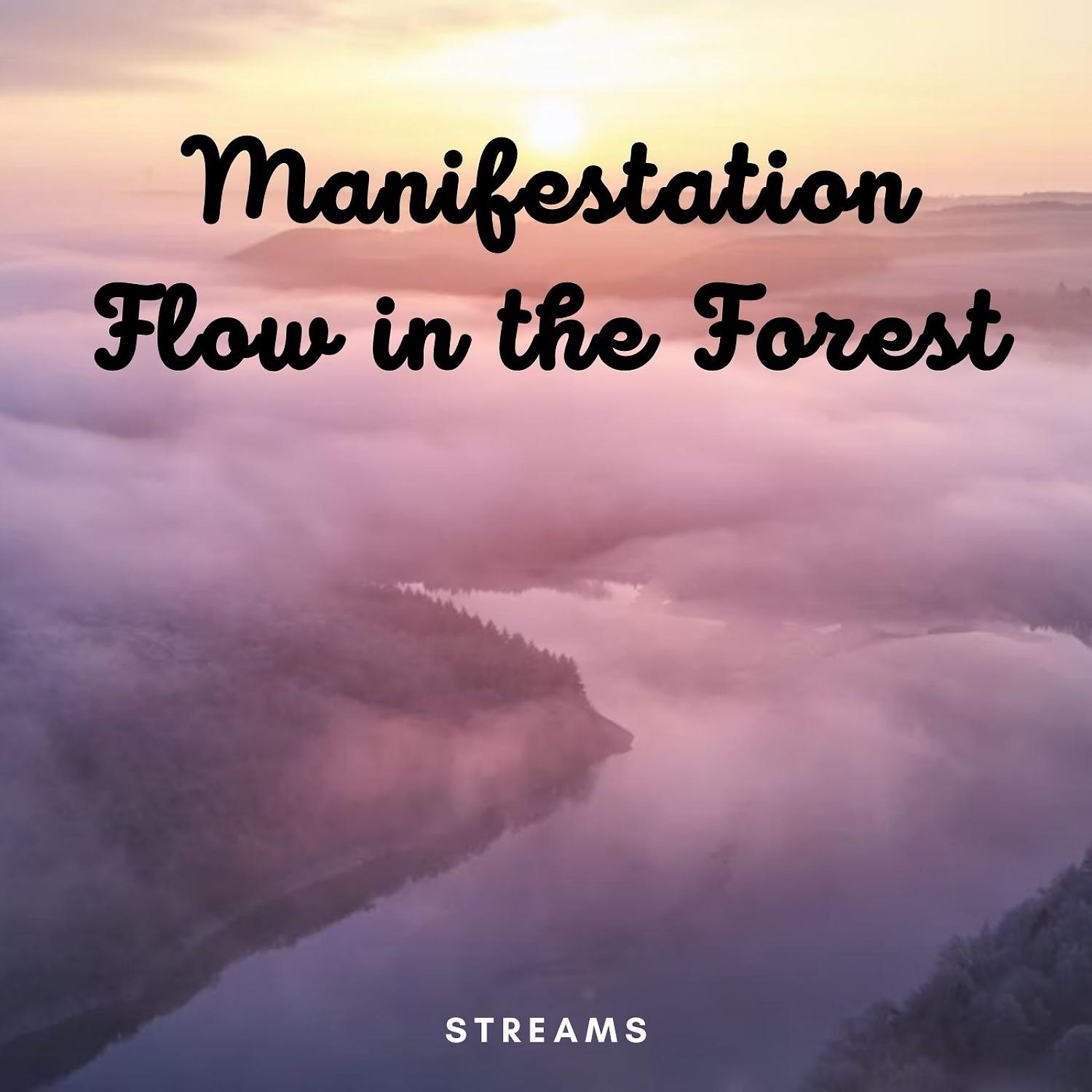 Постер альбома Streams: Manifestation Flow in the Forest