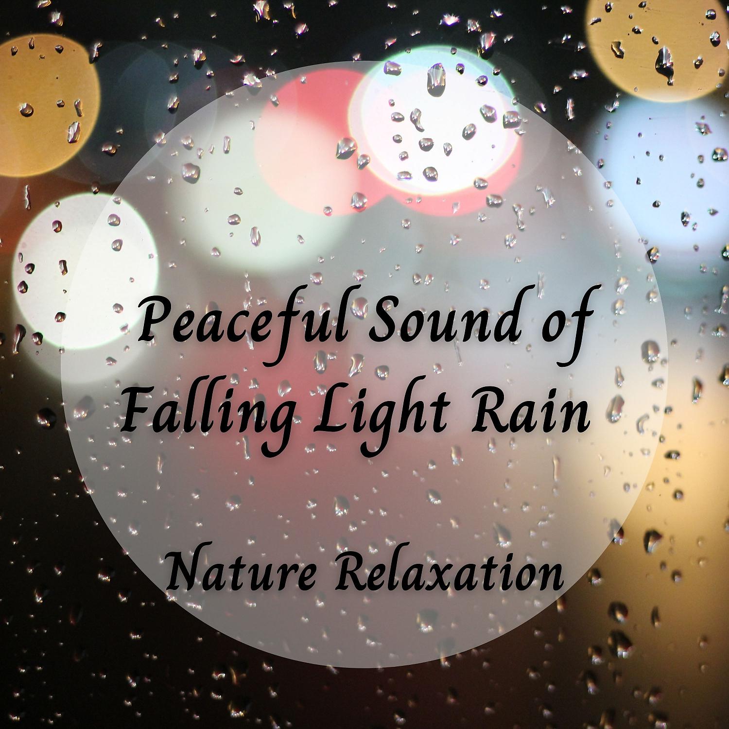 Постер альбома Nature Music: Peaceful Sound of Falling Light Rain