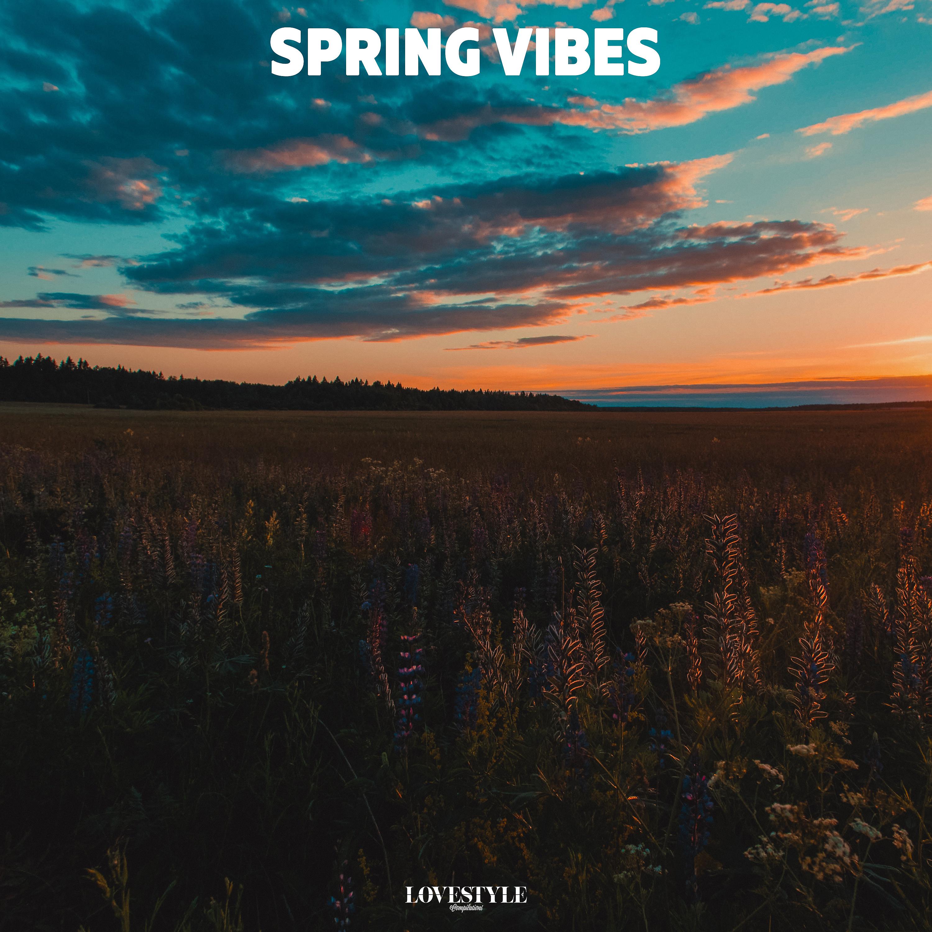 Постер альбома Spring Vibes