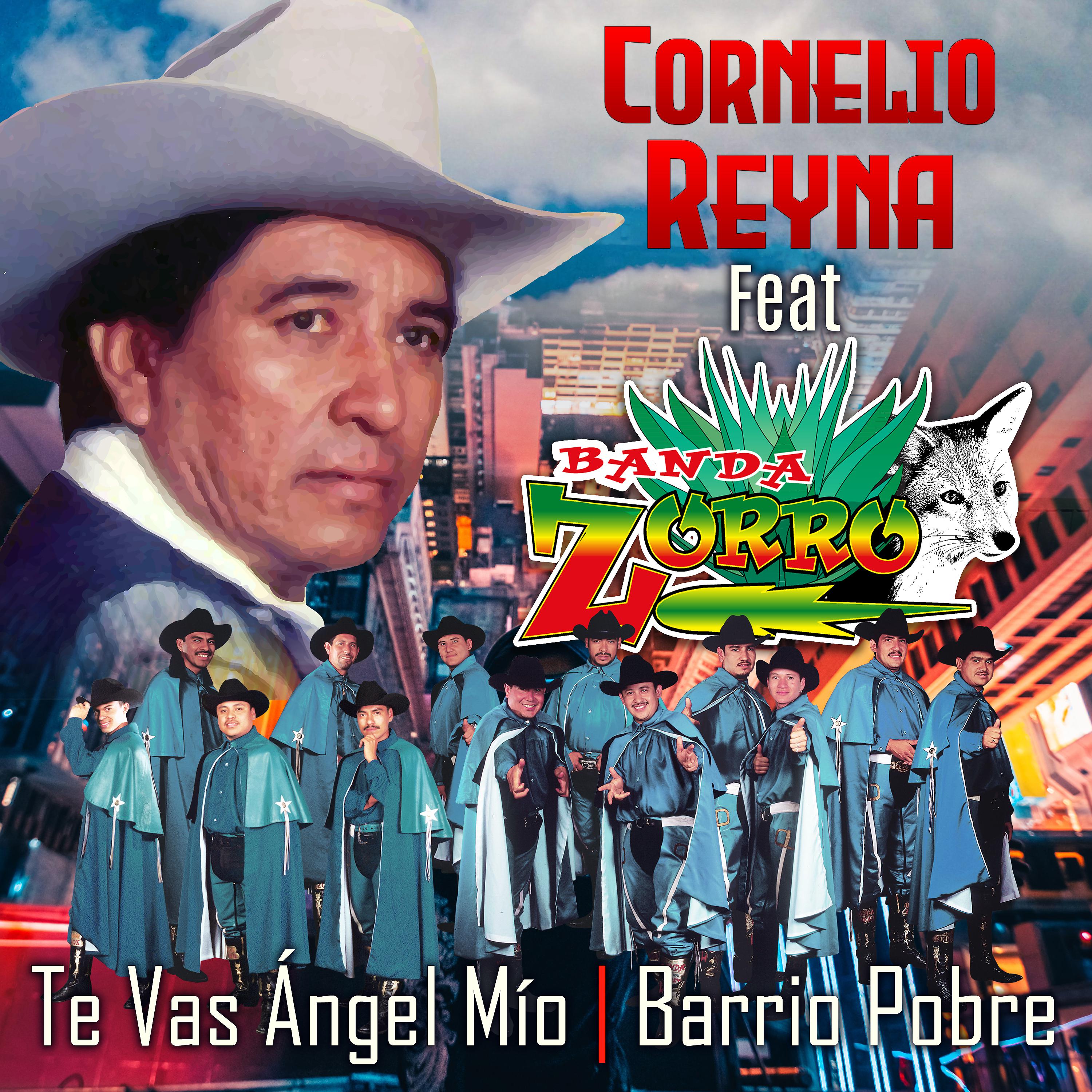 Постер альбома Te Vas Ángel Mío - Barrio Pobre