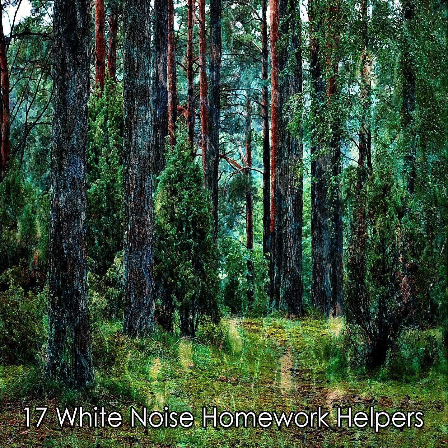 Постер альбома 17 помощников в домашней работе с белым шумом
