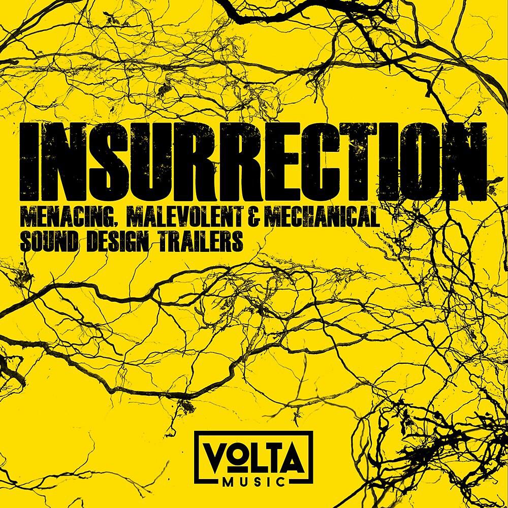 Постер альбома Insurrection