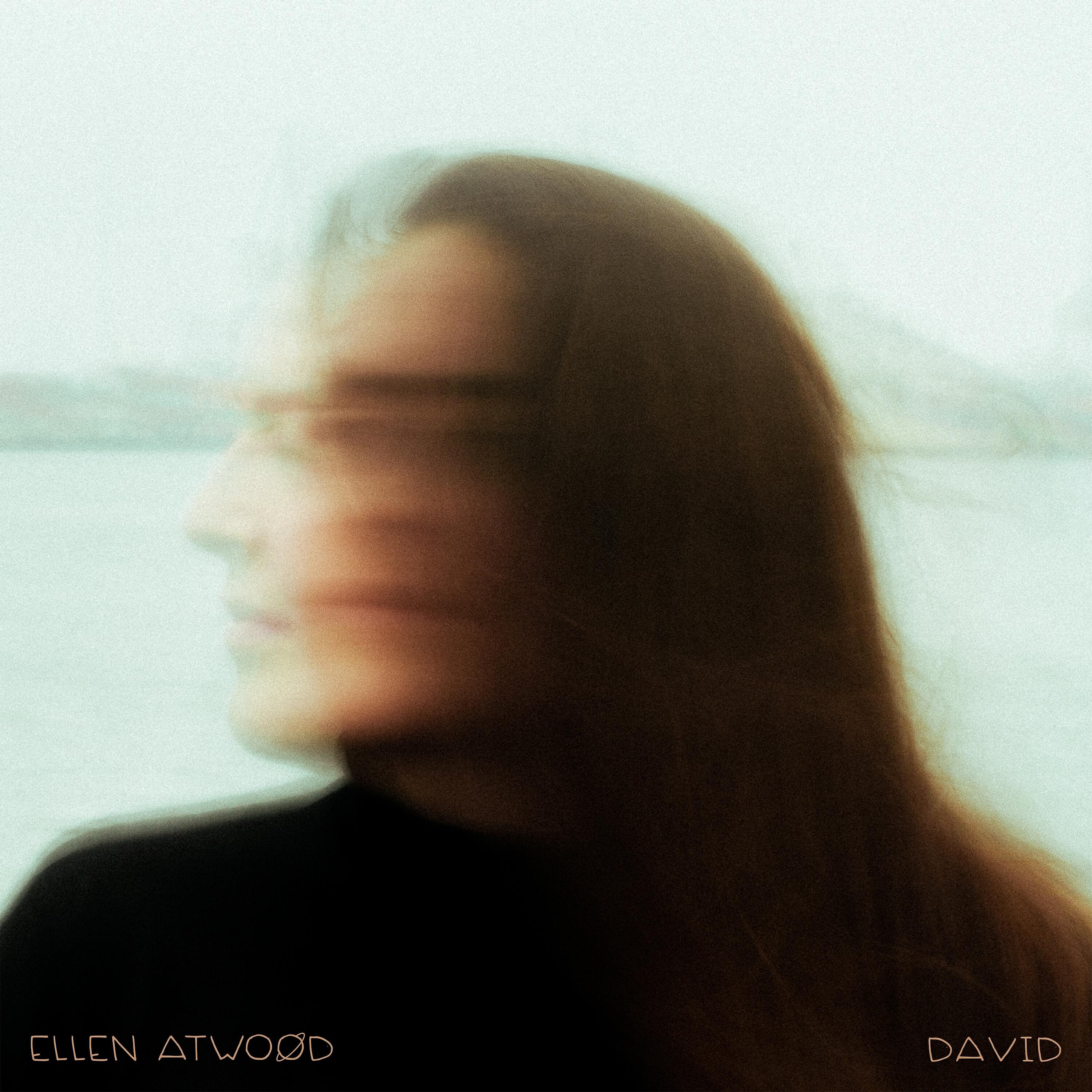 Ellen Atwood - The Fire