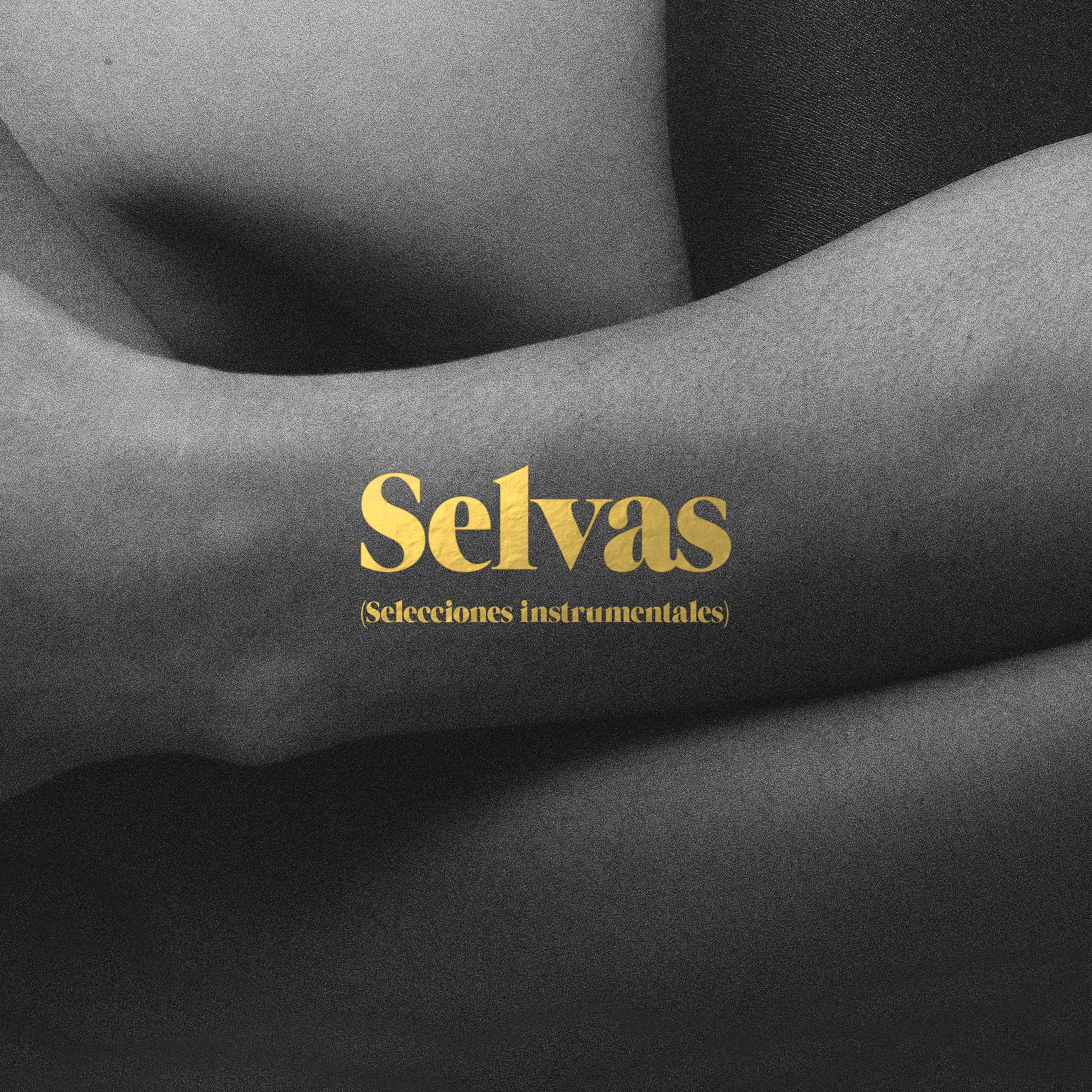 Постер альбома Selvas (Selecciones Instrumentales)