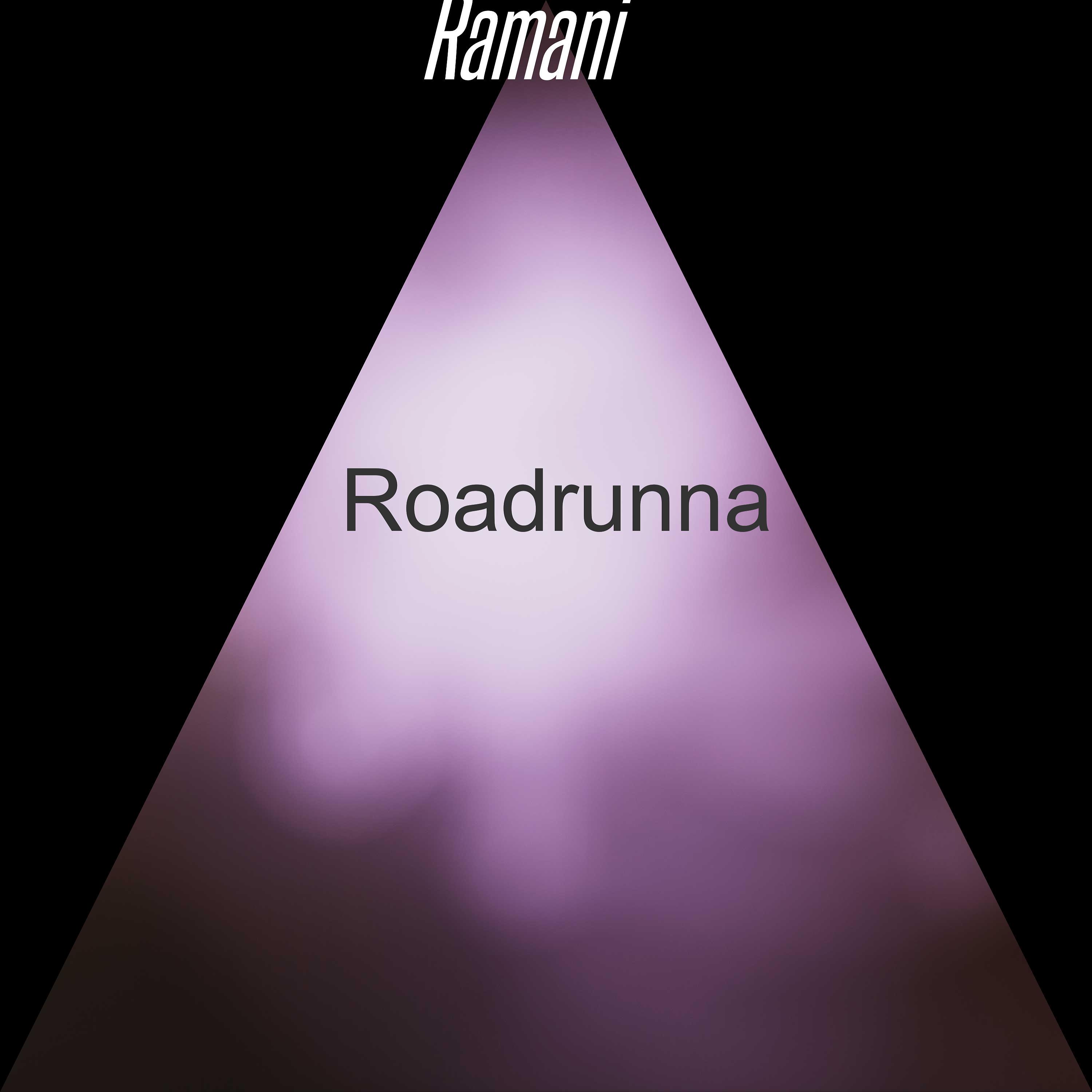 Постер альбома Roadrunna