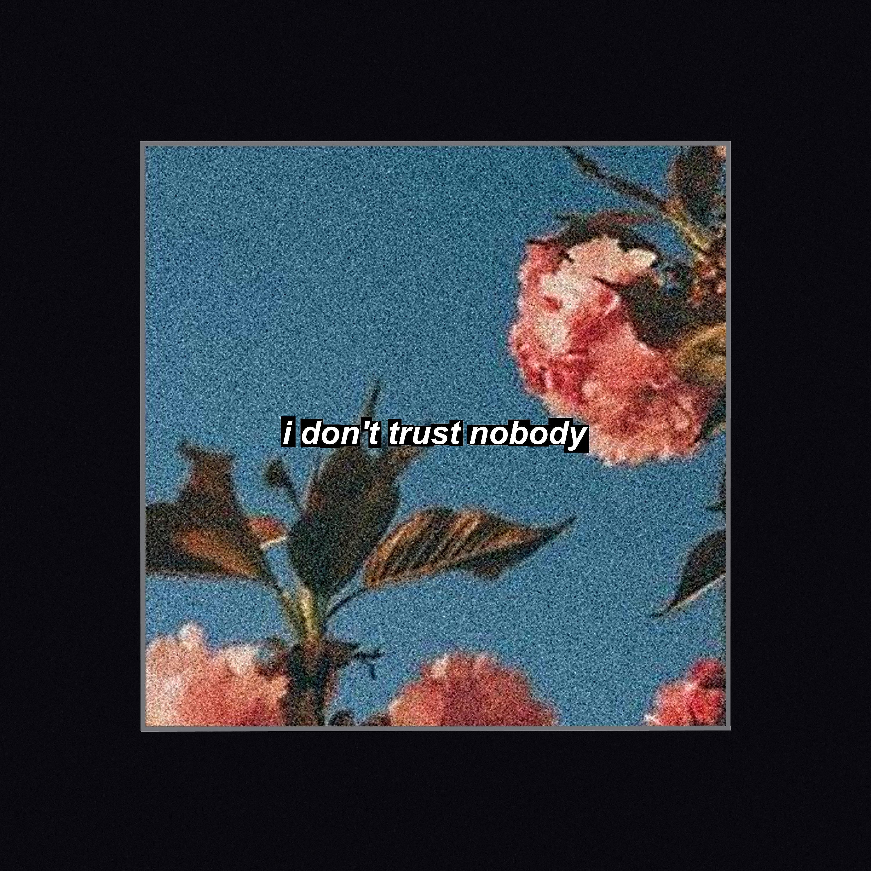 Постер альбома I Don't Trust Nobody