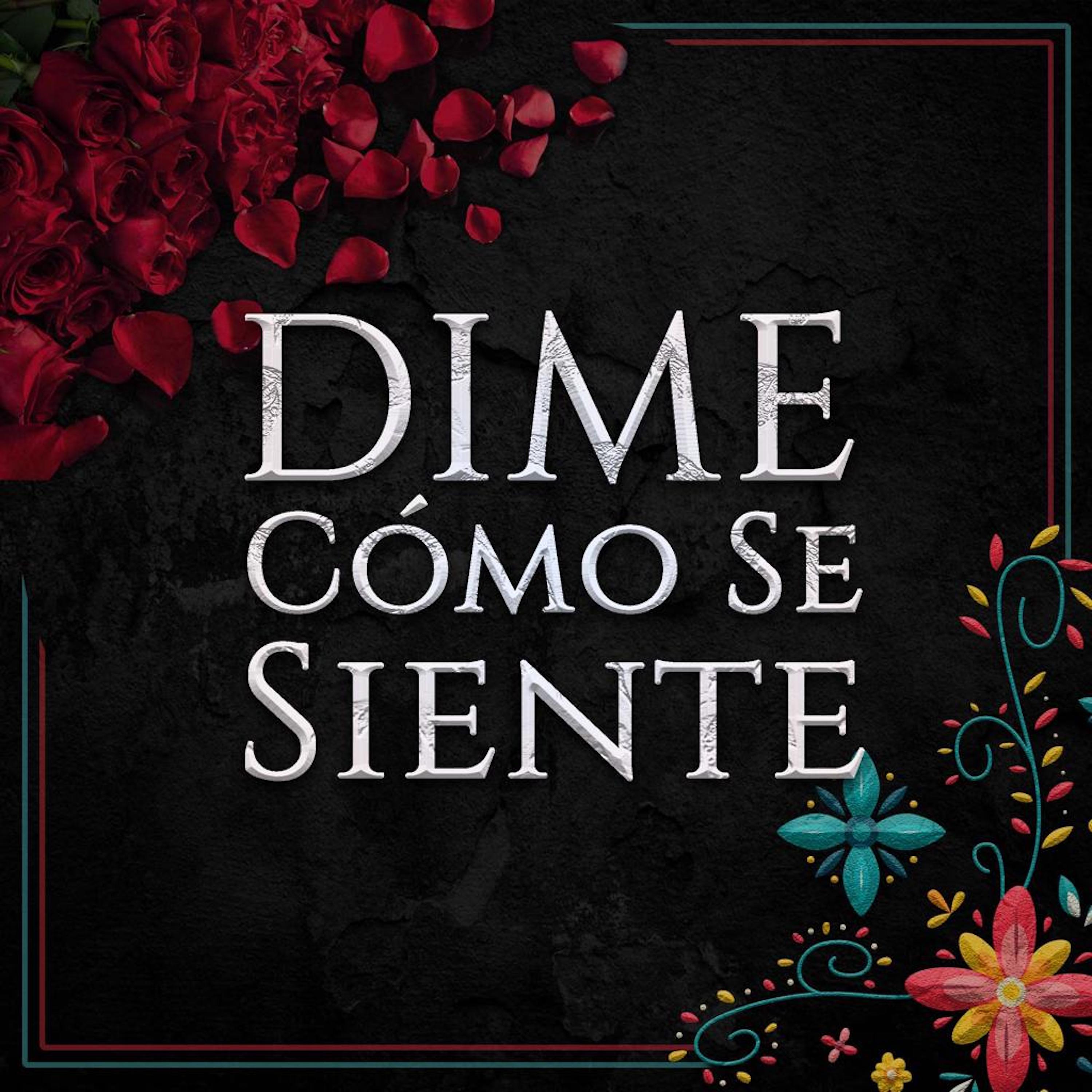 Постер альбома Dime Cómo Se Siente