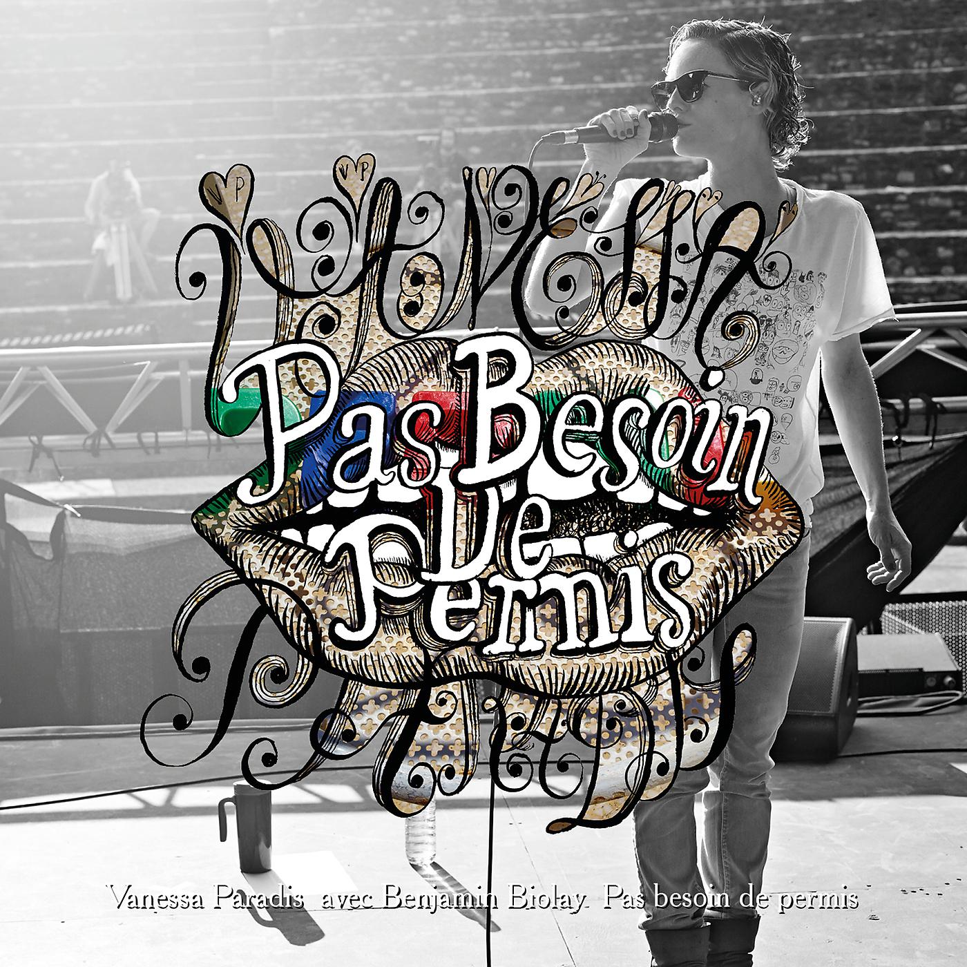 Постер альбома Pas Besoin De Permis