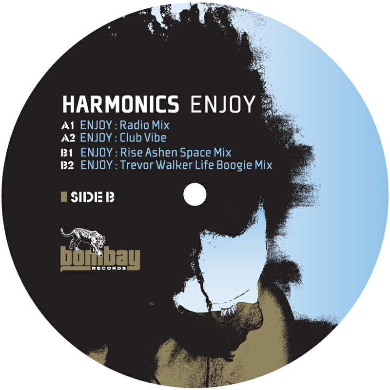 Harmonics - Enjoy (Rise Ashen Space Mix)
