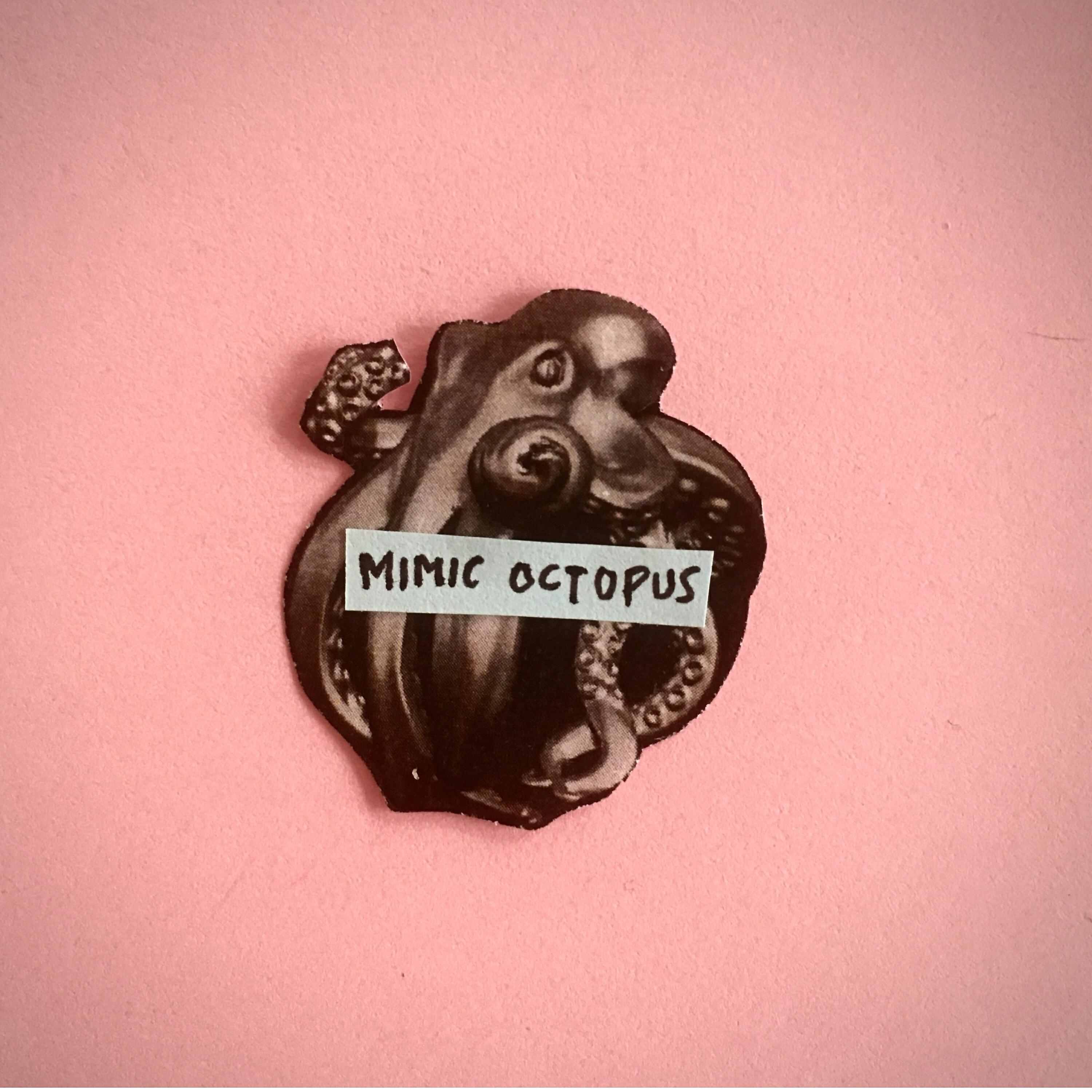 Mimic Octopus - Misja