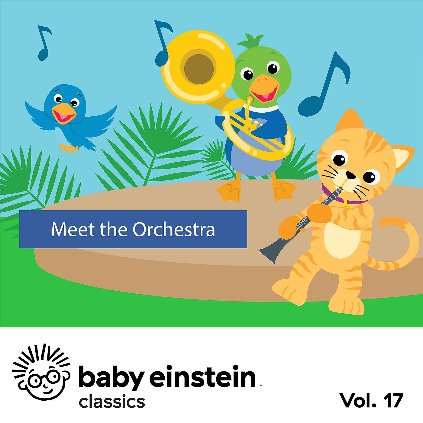 Постер альбома Baby Einstein: Meet the Orchestra