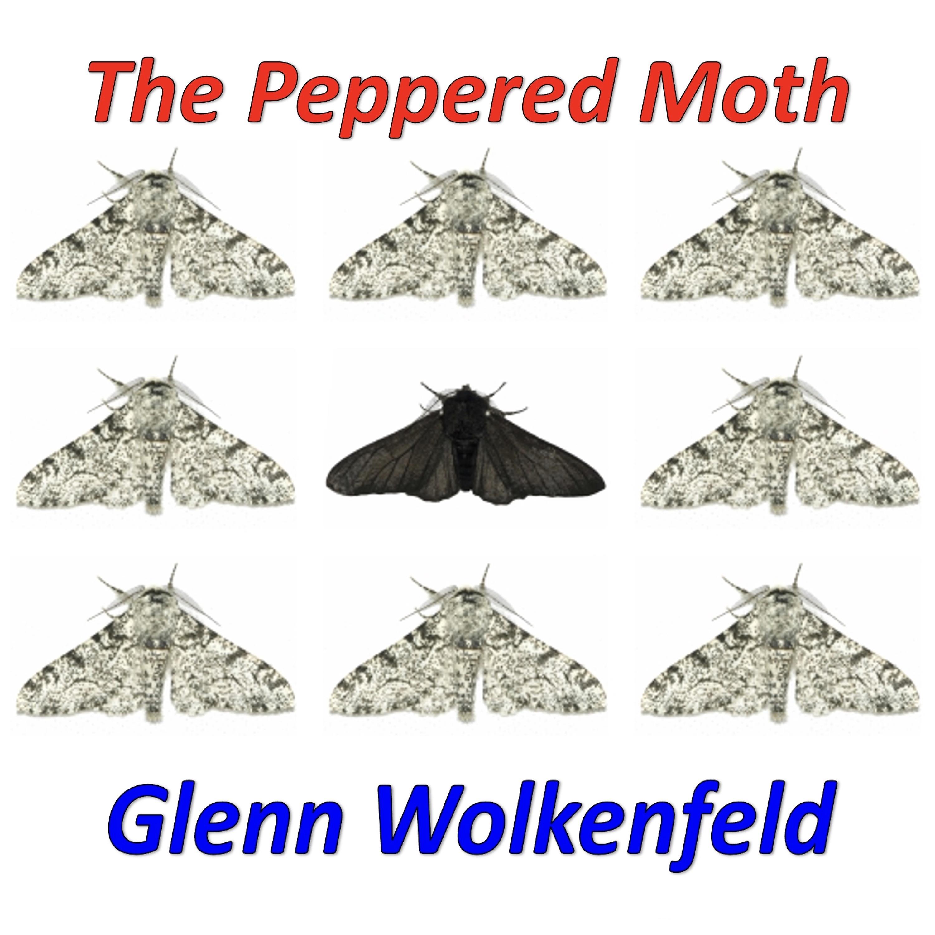 Постер альбома The Peppered Moth