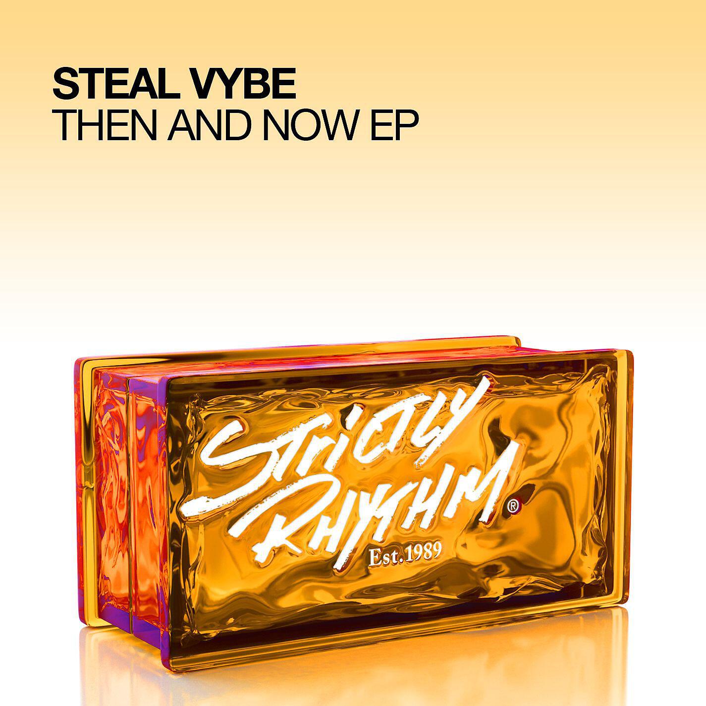 Steal VYbe - Music 4 The World  (Tribing 2 Da Drumz Mix)