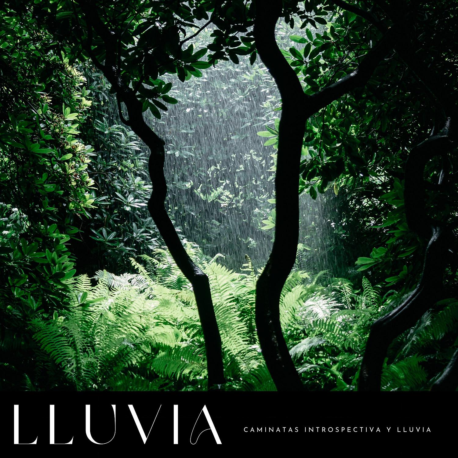 Постер альбома Lluvia: Caminatas Introspectiva y Lluvia