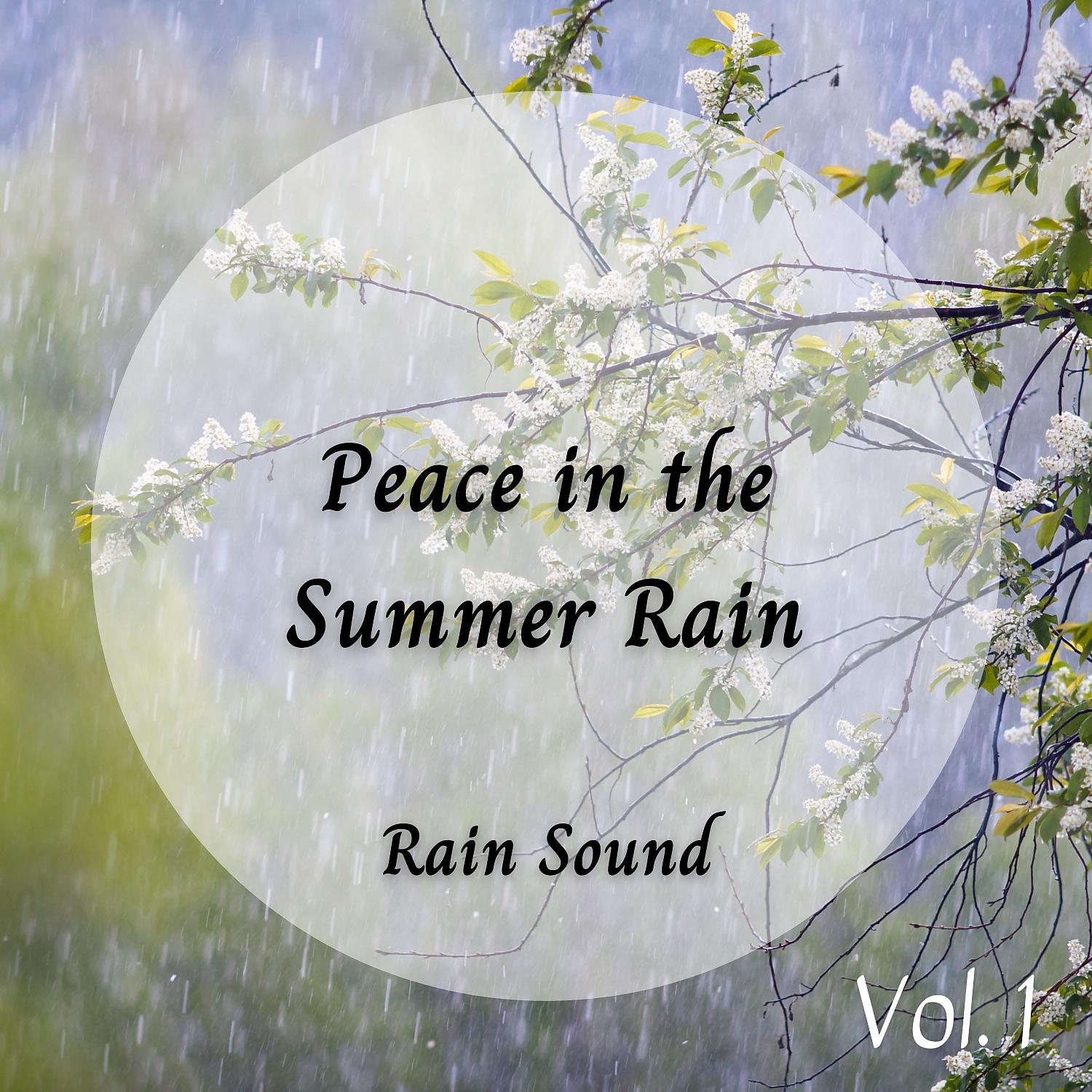 Постер альбома Rain Sound: Peace in the Summer Rain Vol. 1