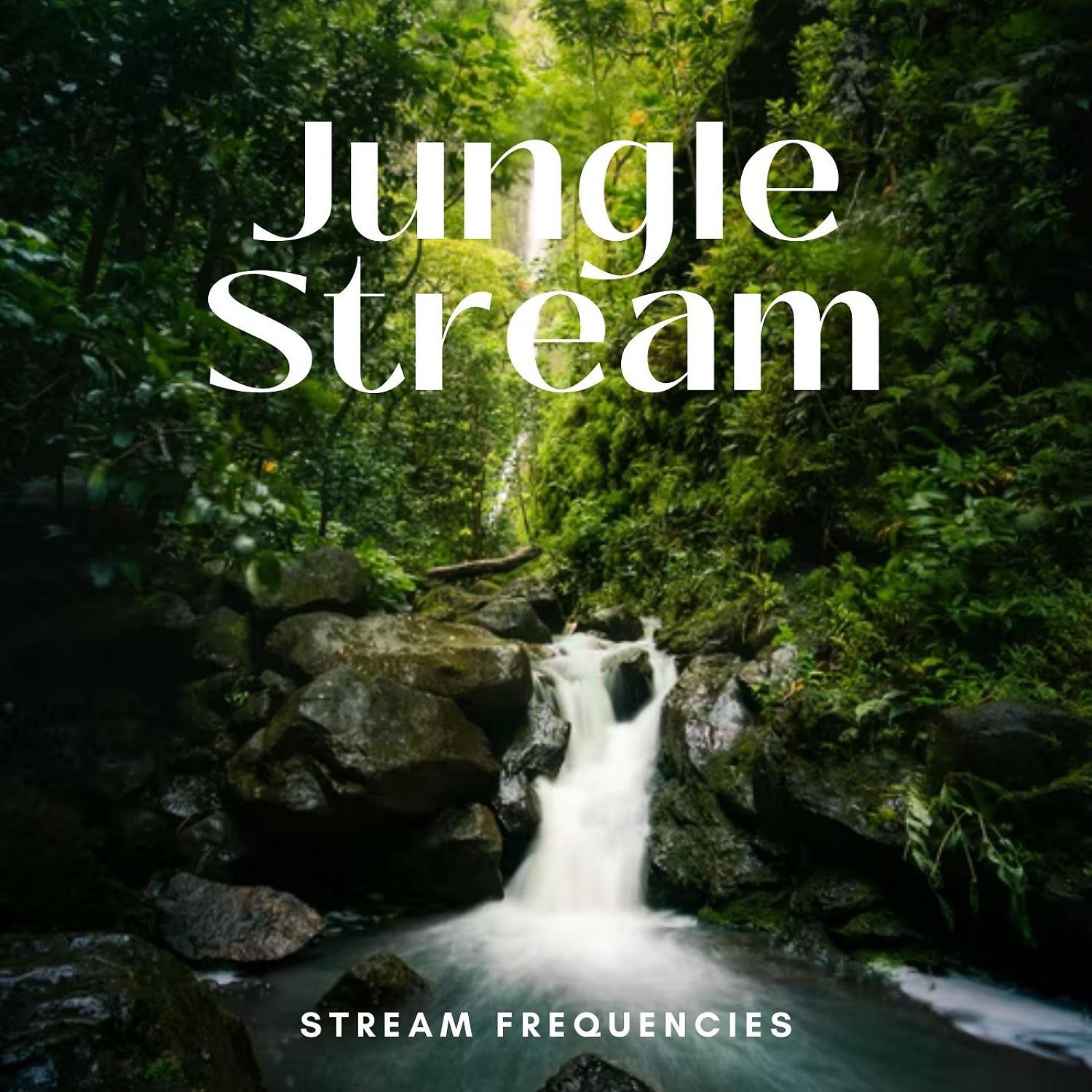 Постер альбома Stream Frequencies: Jungle Stream