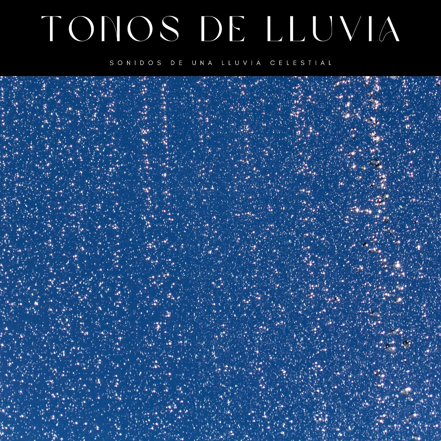 Постер альбома Tonos De Lluvia: Sonidos De Una Lluvia Celestial
