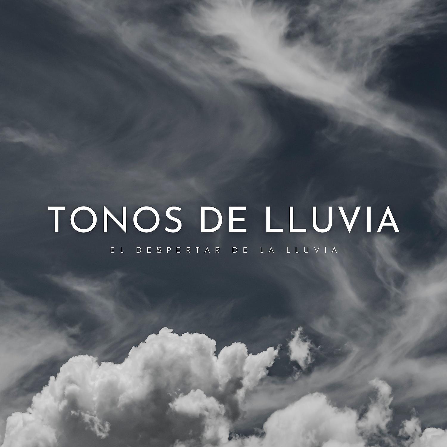 Постер альбома Tonos De Lluvia: El Despertar De La Lluvia