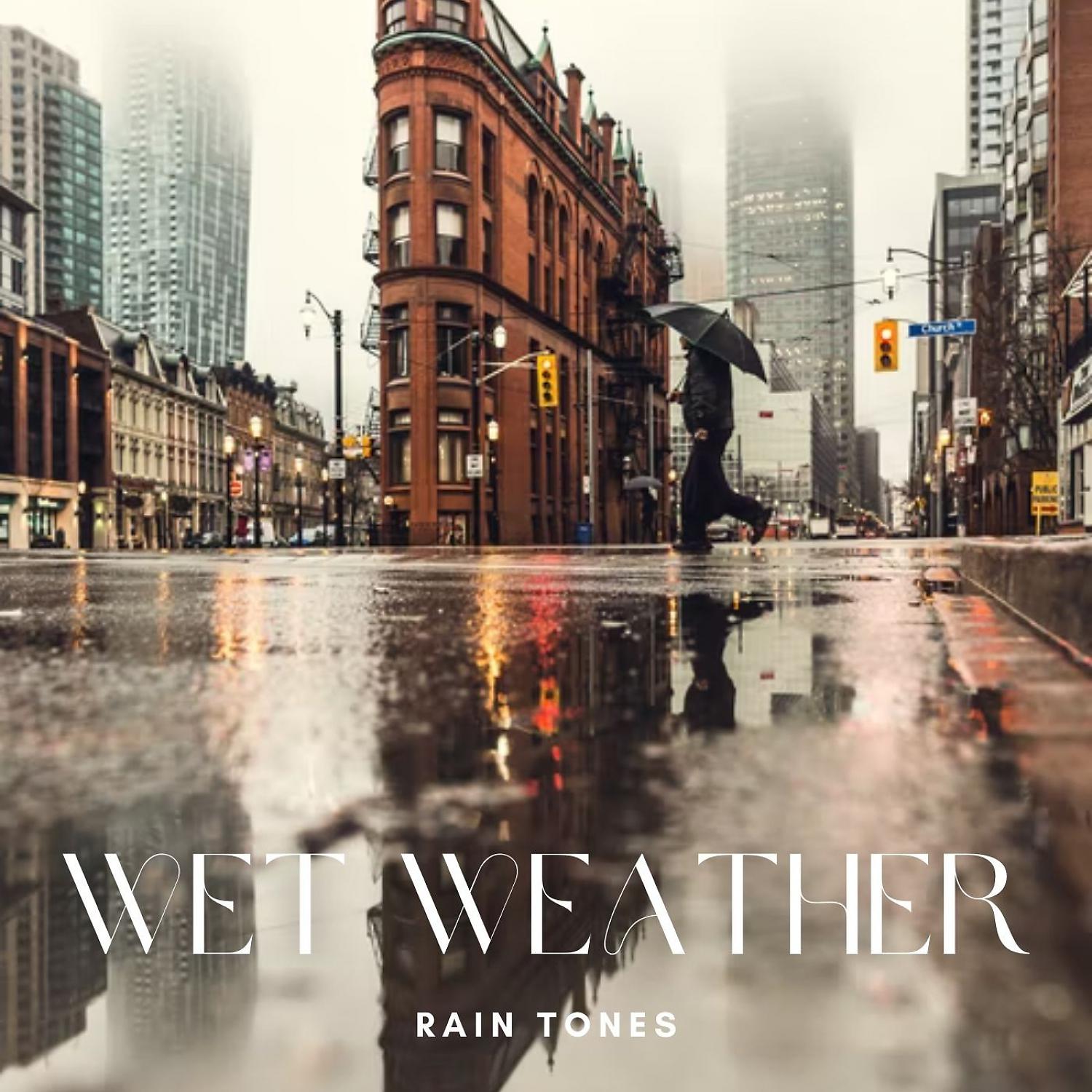 Постер альбома Rain Tones: Wet Weather