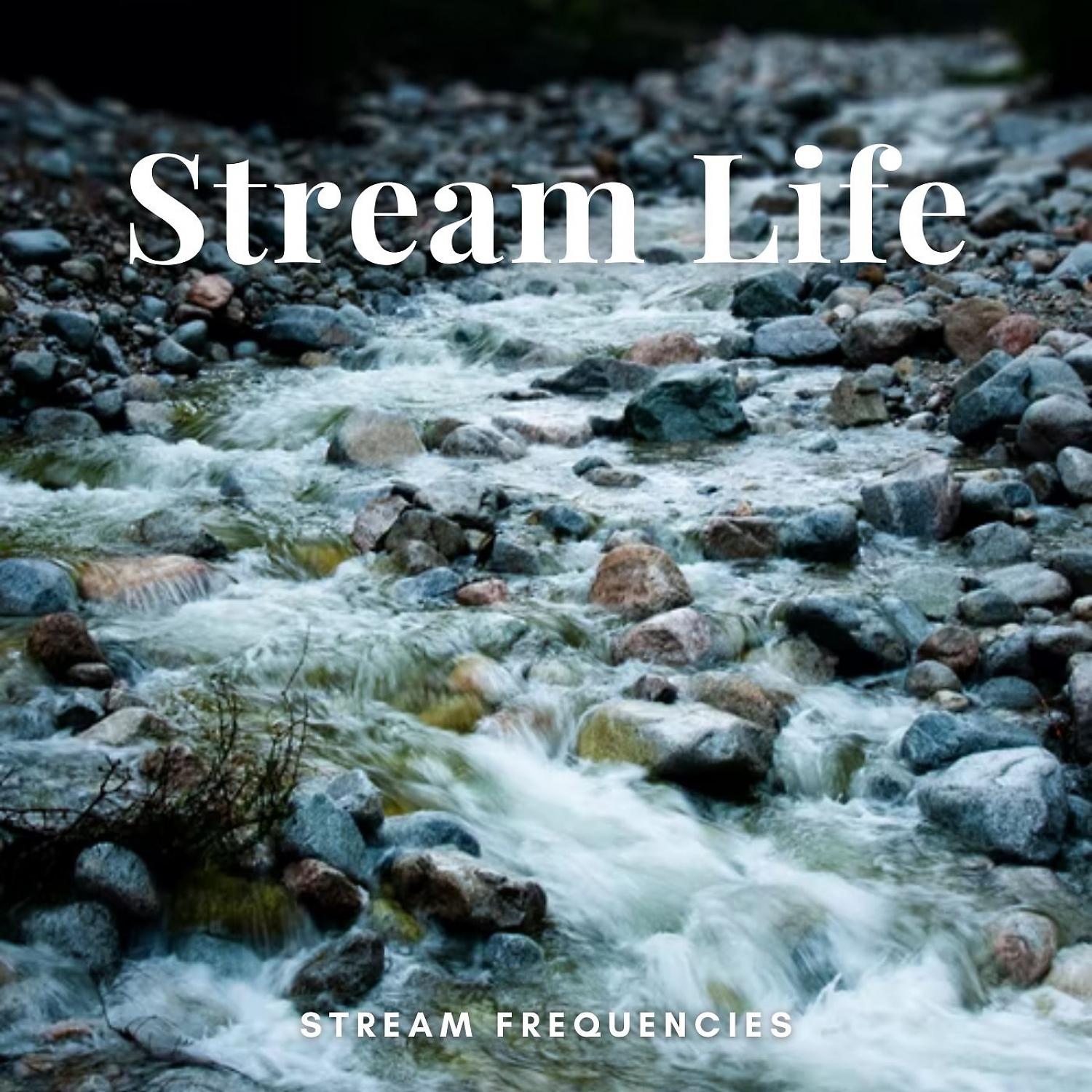 Постер альбома Stream Frequencies: Stream Life