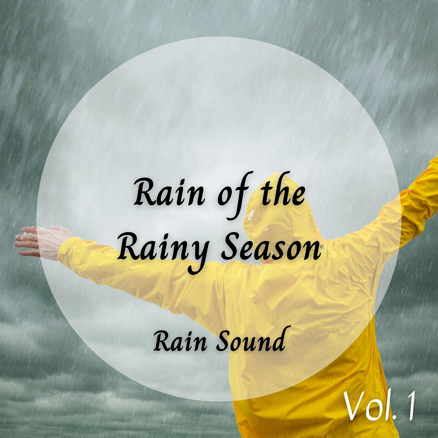 Постер альбома Rain Sound: Rain of the Rainy Season Vol. 1