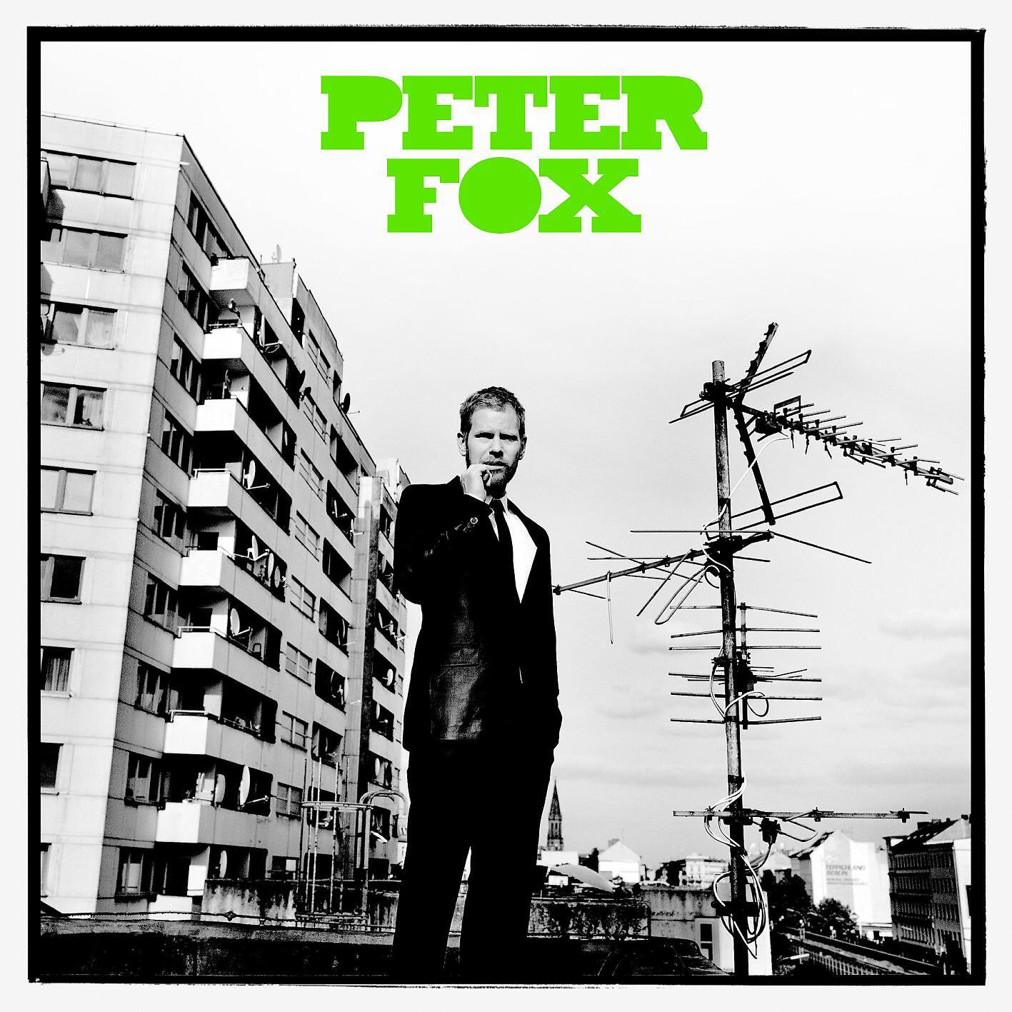 Peter Fox - Schwarz zu blau