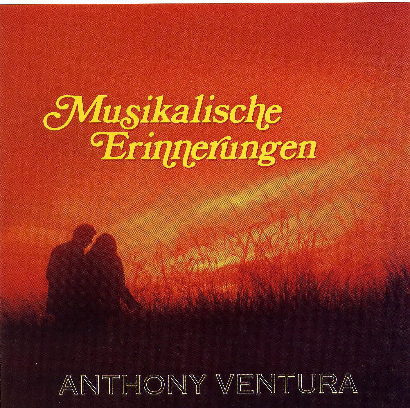 Постер альбома Musikalische Erinnerungen - Die Großen Erfolge