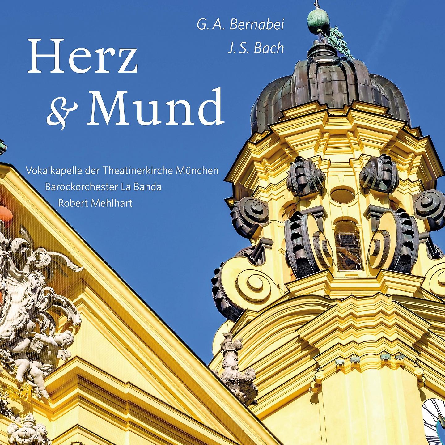 Постер альбома Herz & Mund