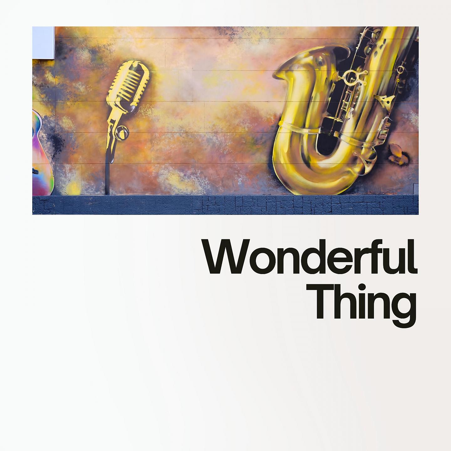 Постер альбома Wonderful Thing