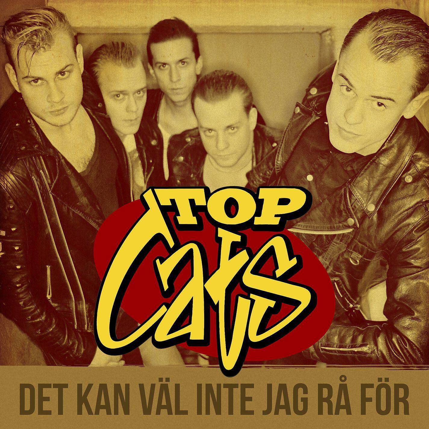 Top Cats - Det kan väl inte jag rå för