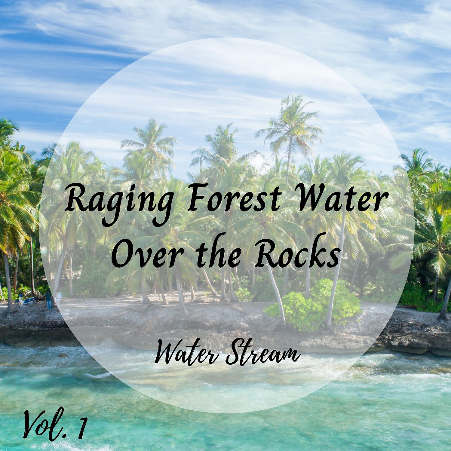 Постер альбома Water Stream: Raging Forest Water Over the Rocks Vol. 1