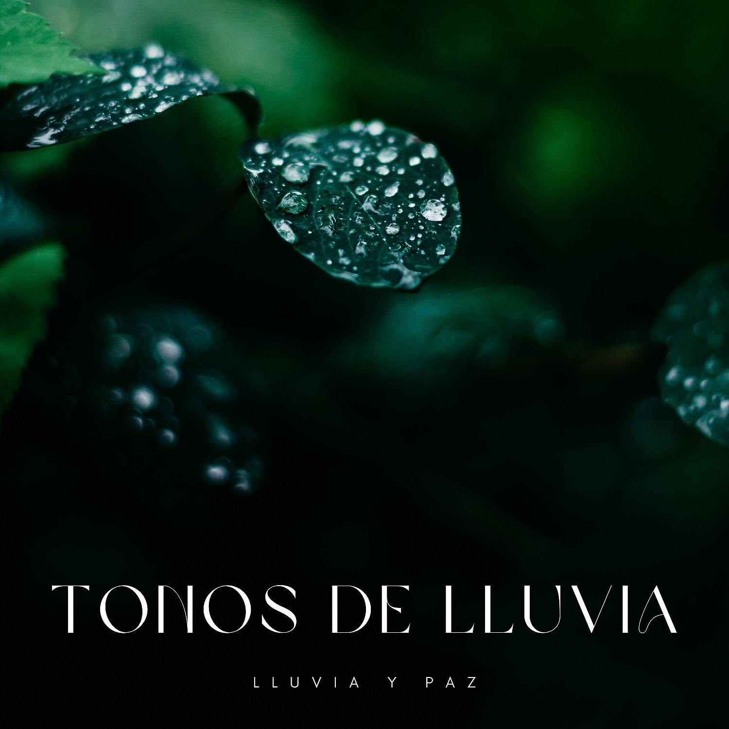 Постер альбома Tonos De Lluvia: Lluvia y Paz
