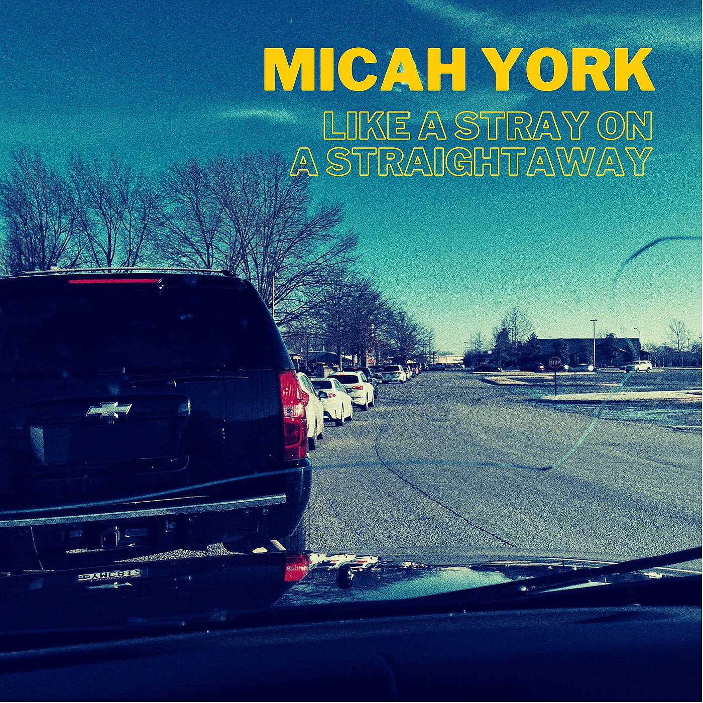 Micah York - Like a Stray on a Straightaway