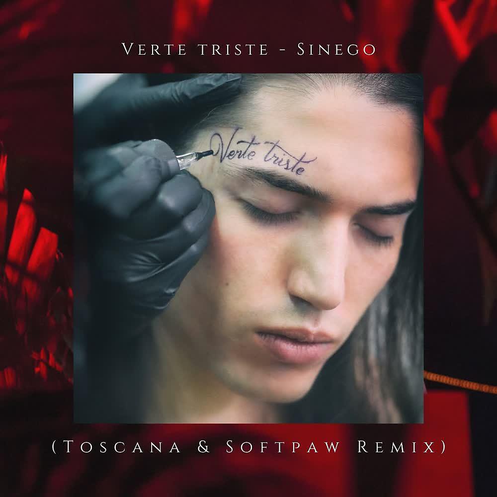 Постер альбома Verte Triste (Remix Softpaw Toscana)