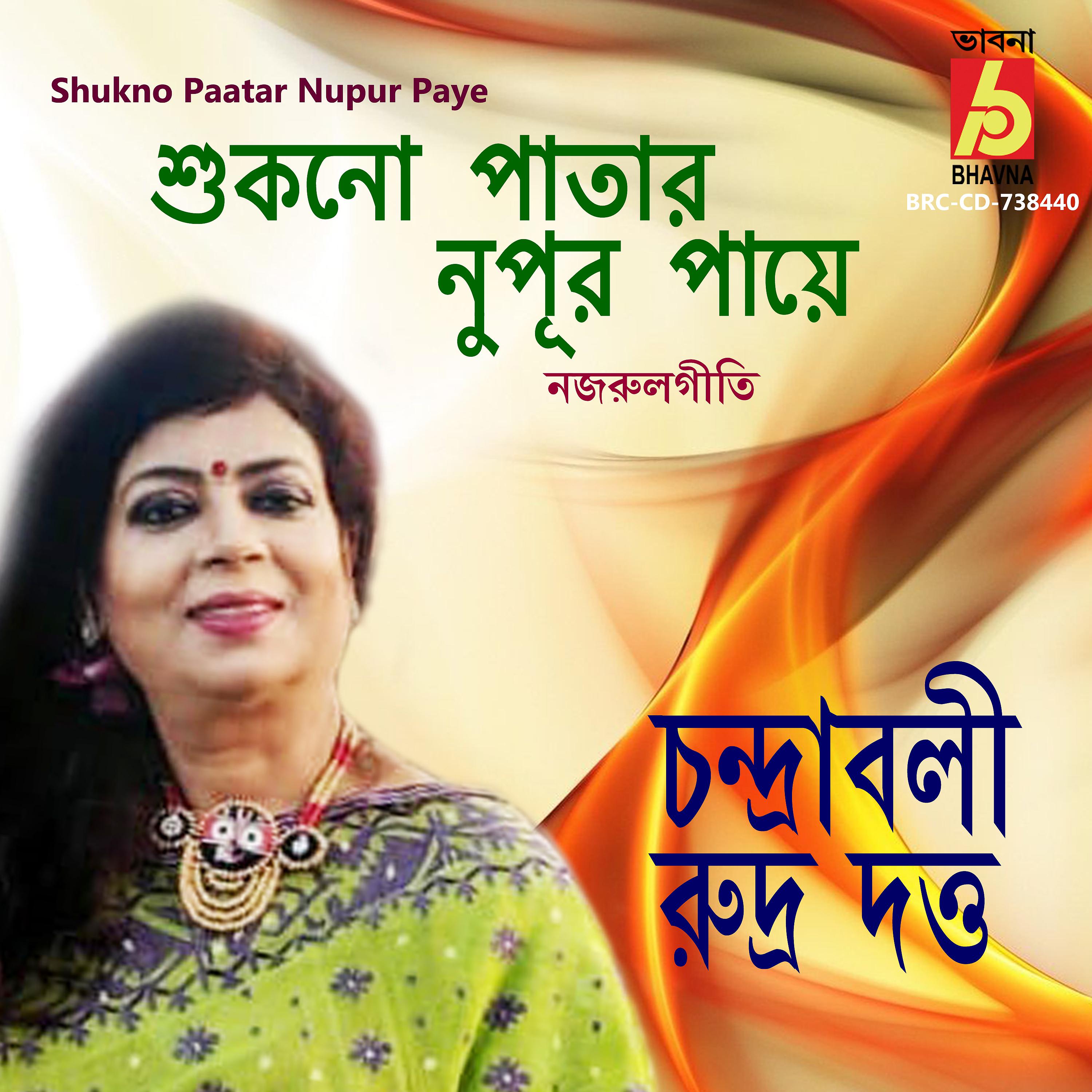 Постер альбома Shukno Paatar Nupur Paye