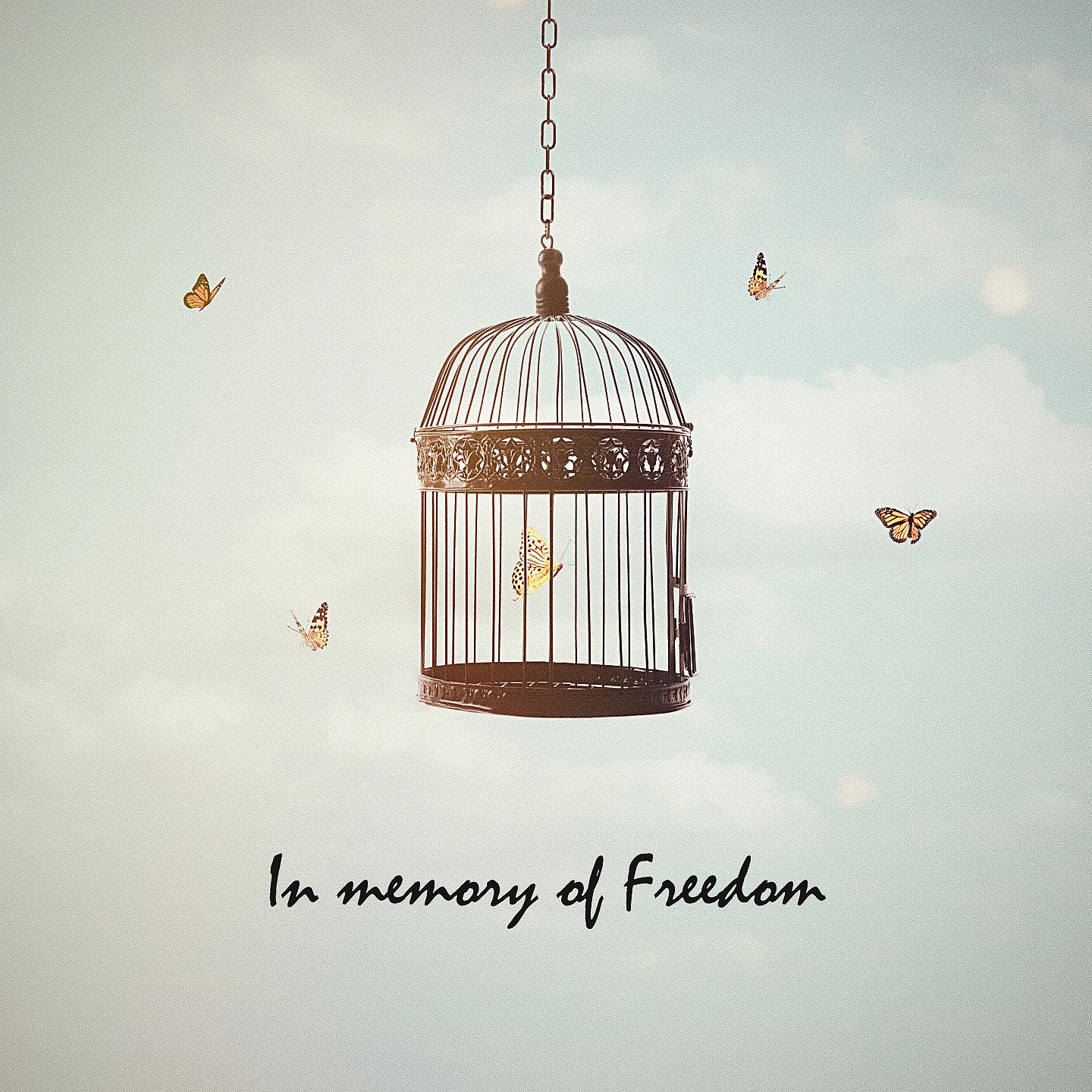 Постер альбома In Memory of Freedom