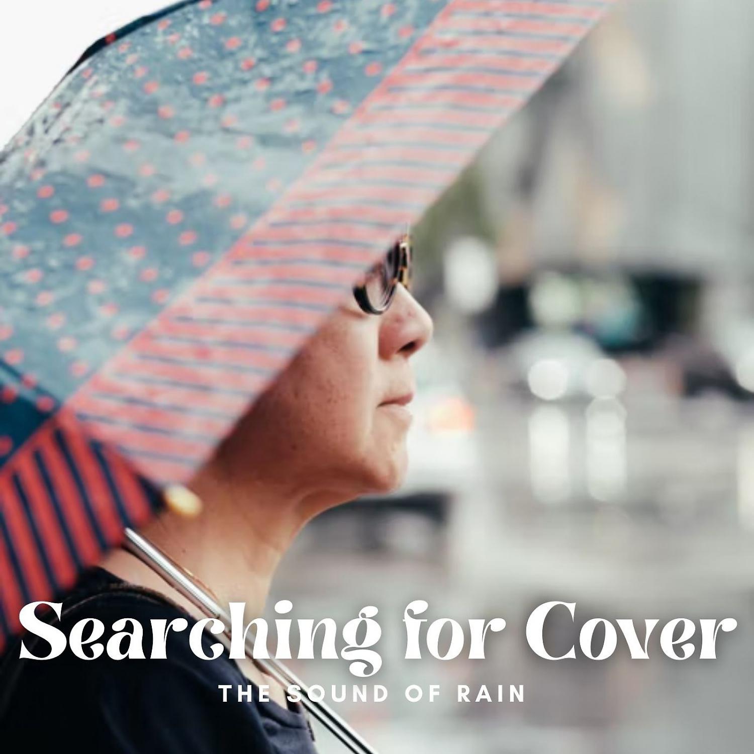 Постер альбома The Sound of Rain: Searching for Cover