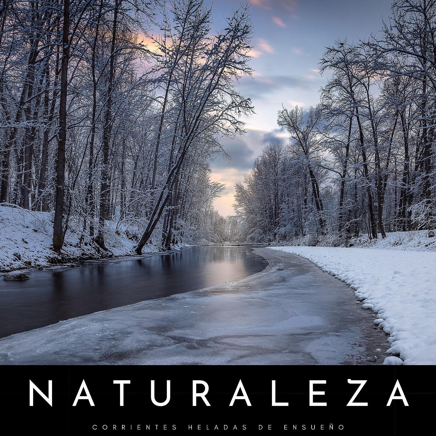 Постер альбома Naturaleza: Corrientes Heladas De Ensueño