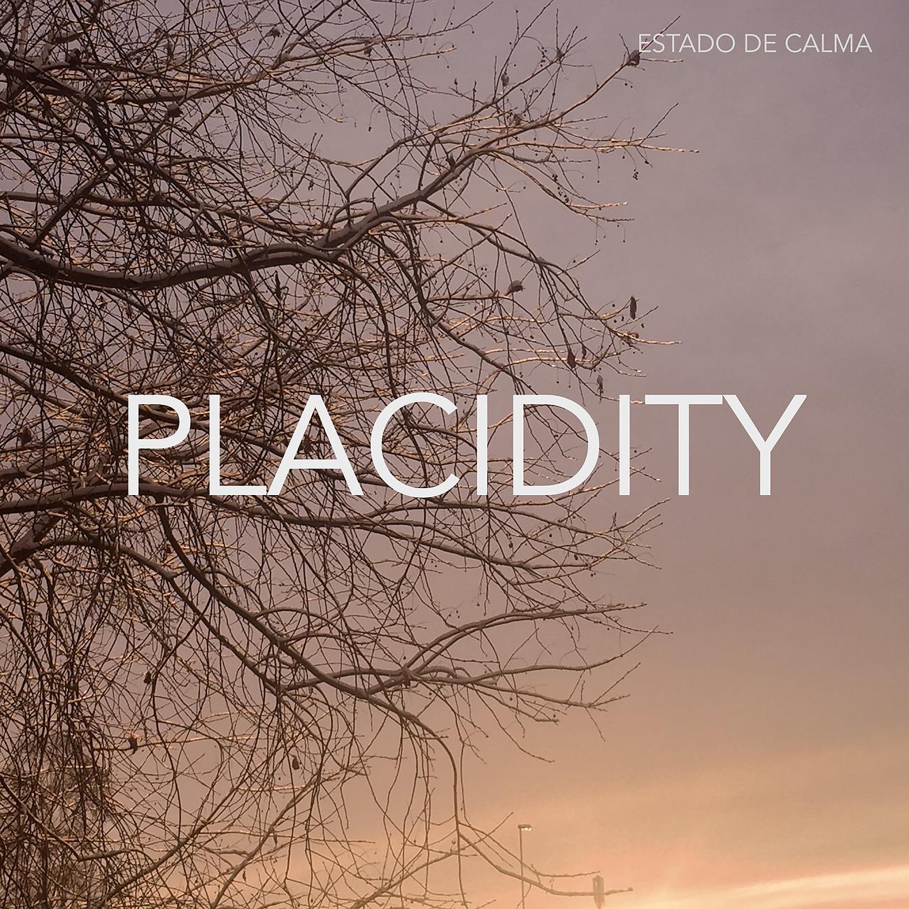 Постер альбома Placidity