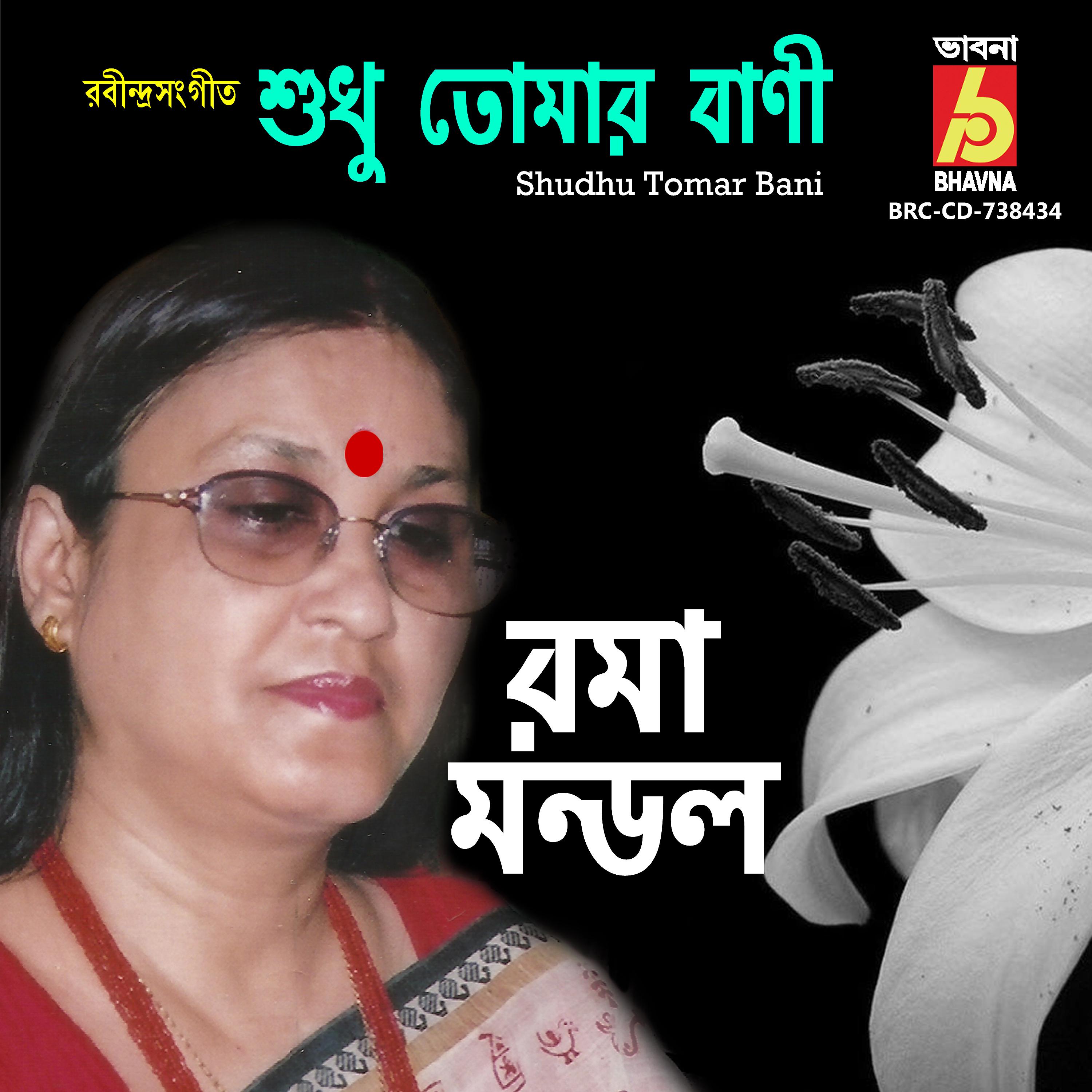 Постер альбома Shudhu Tomar Bani