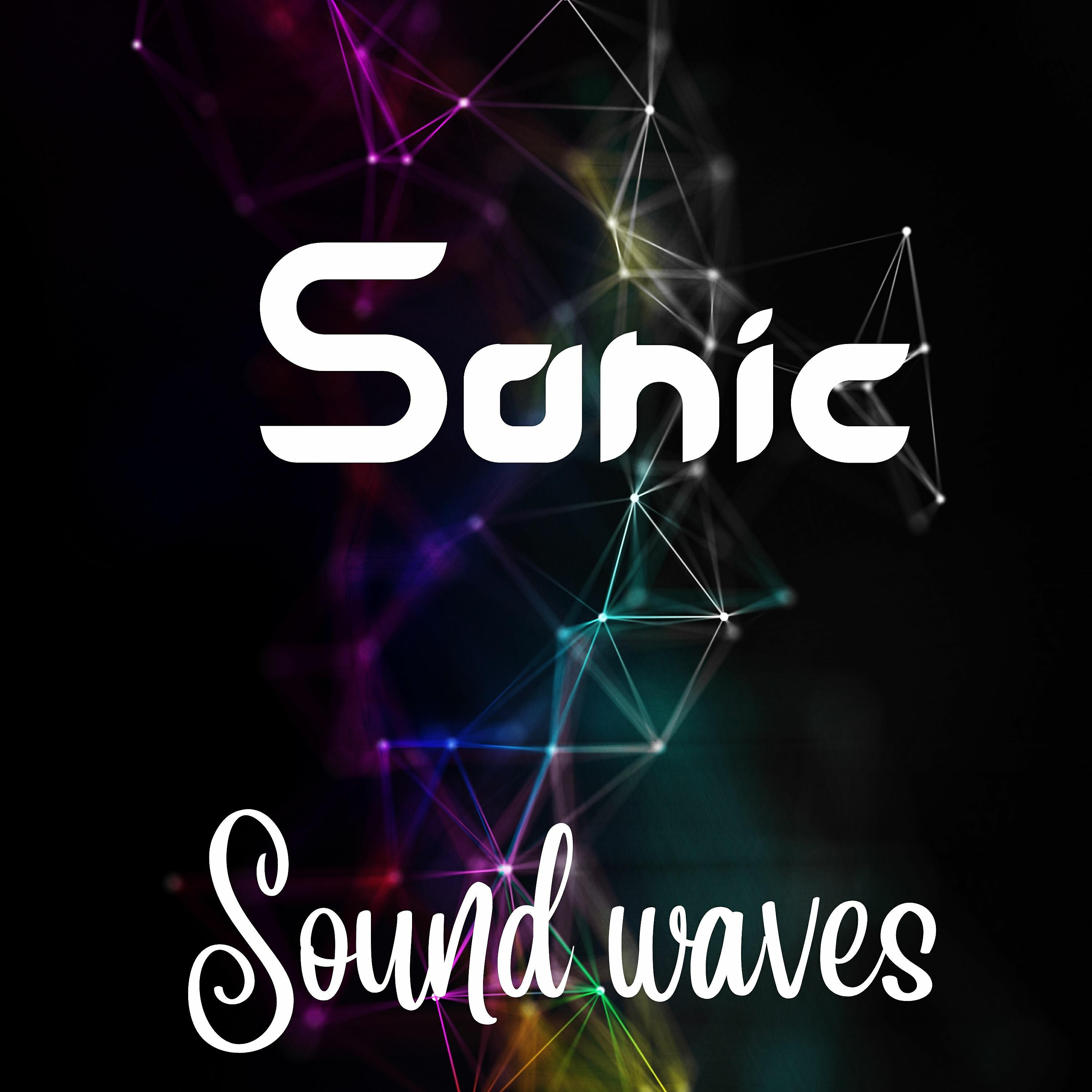 SONiC - Force