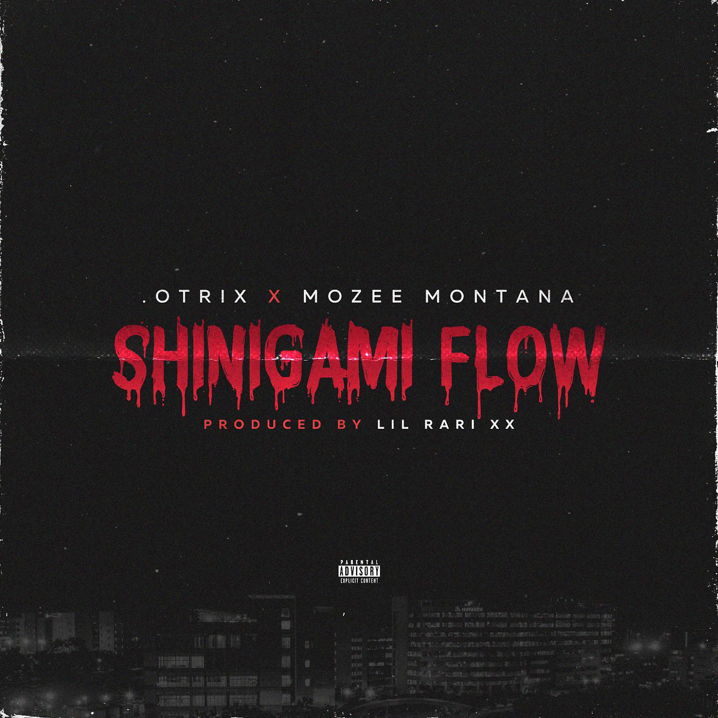 Постер альбома Shinigami Flow